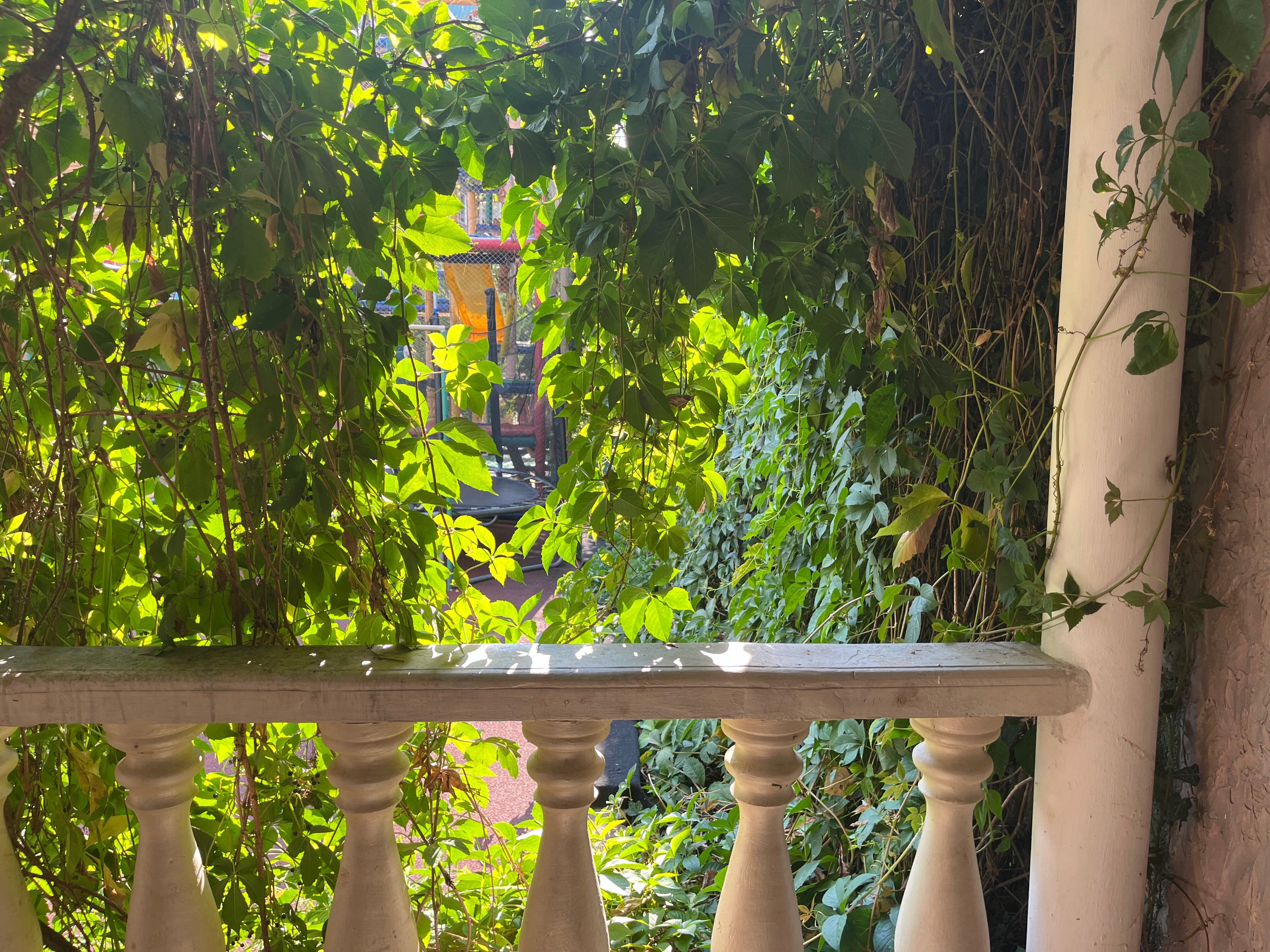 Фото Аркадия