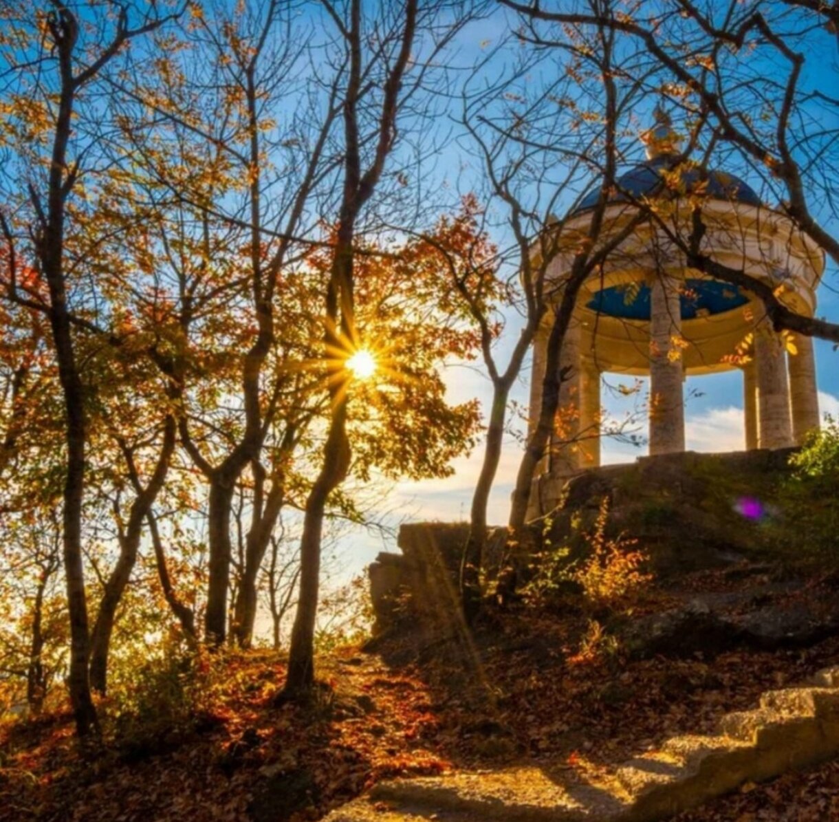 Фото Парк-Отель