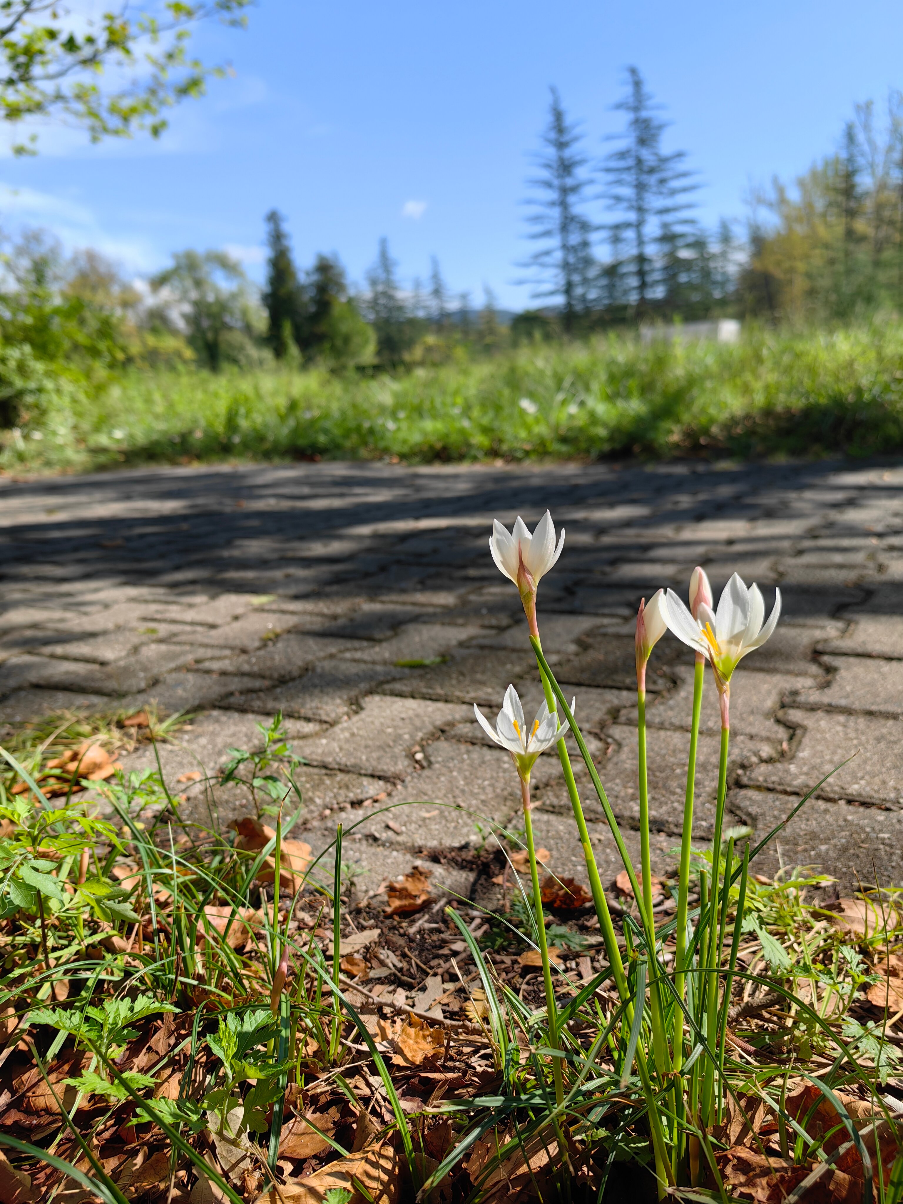 Фото Hotel Prometheus