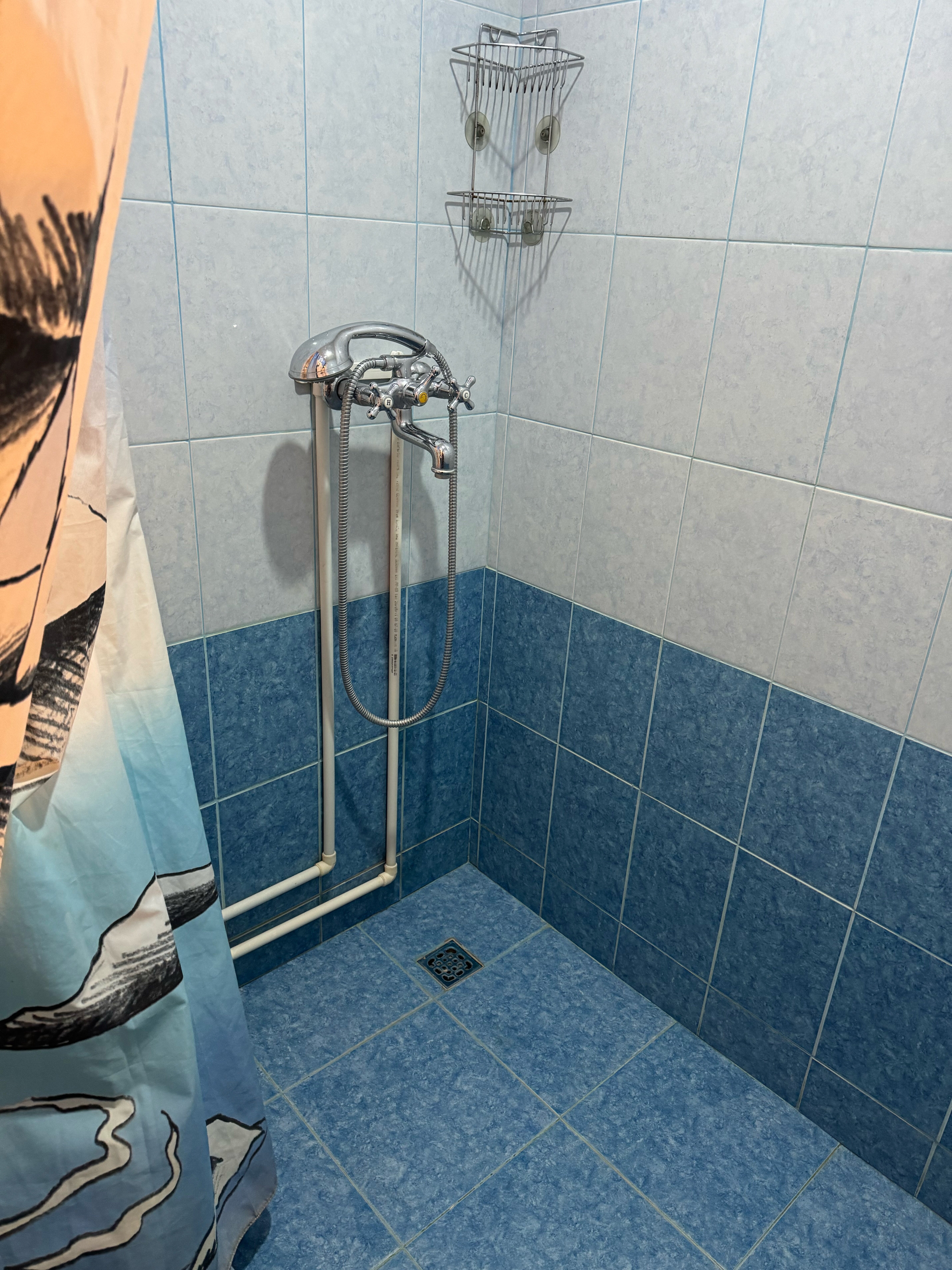 Фото Березка