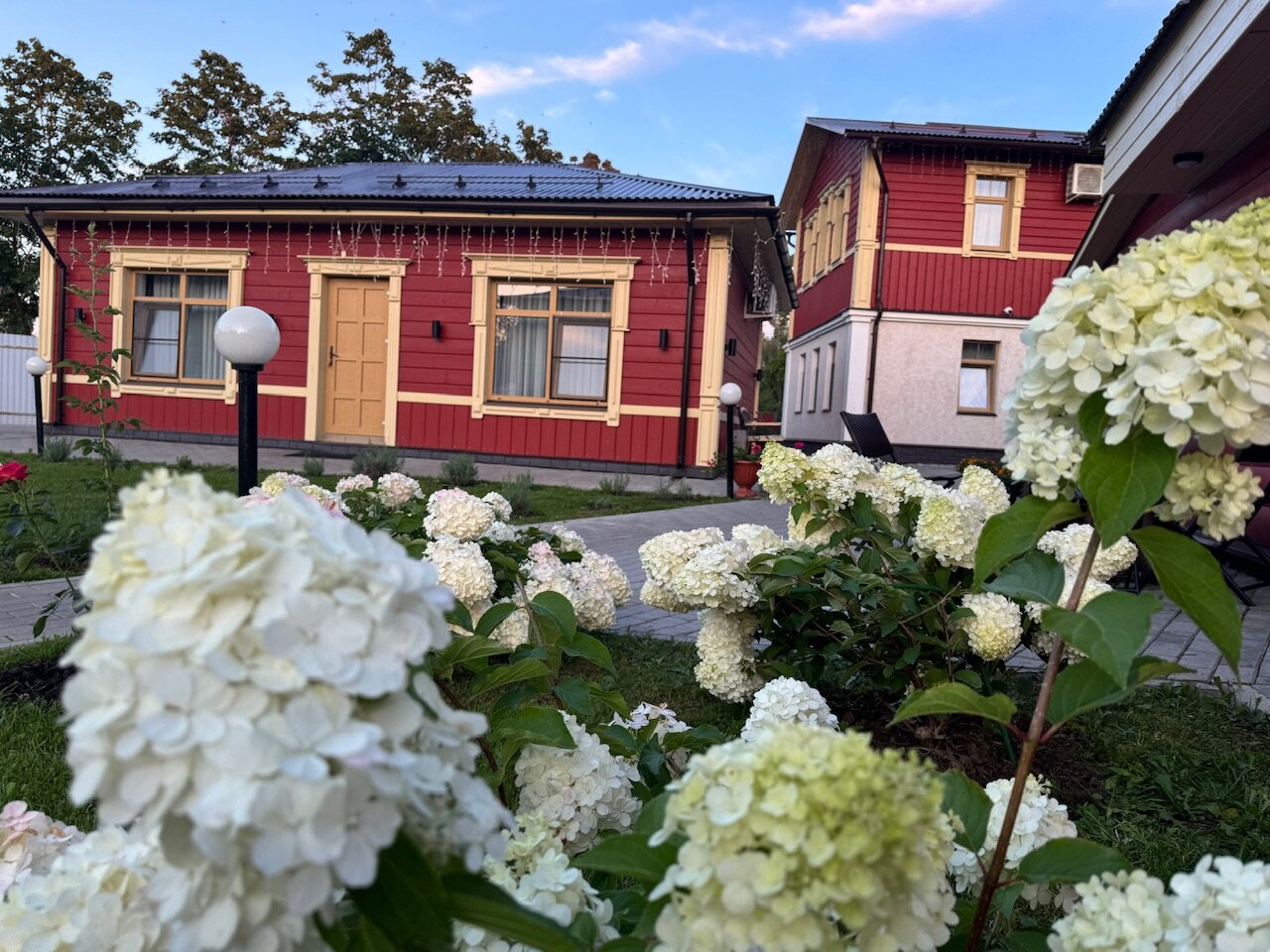 Фото Царедворье