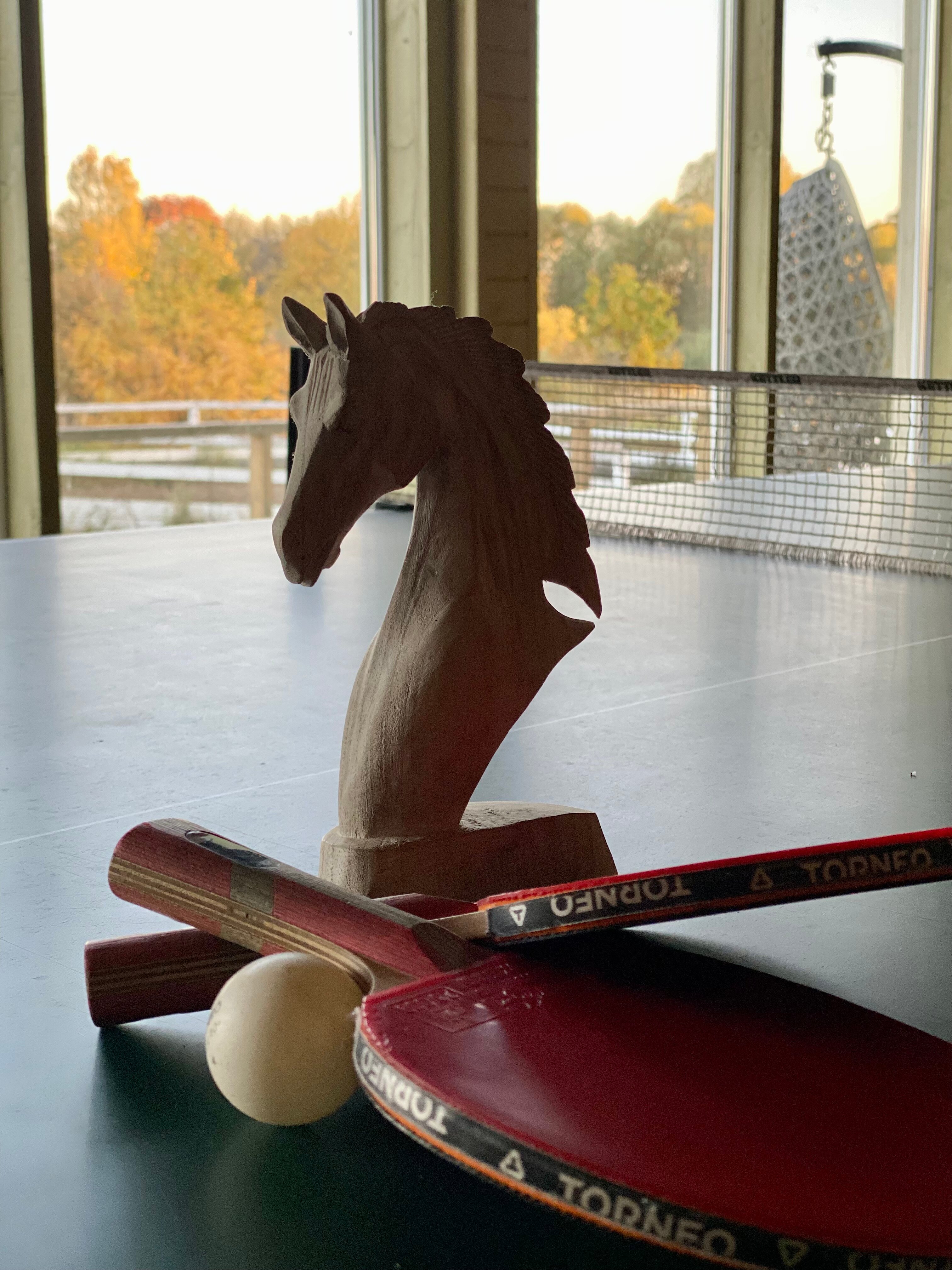 Фото Лаки Лейк