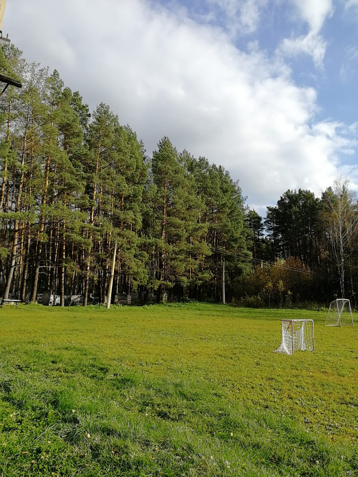 Фото Лесная сказка