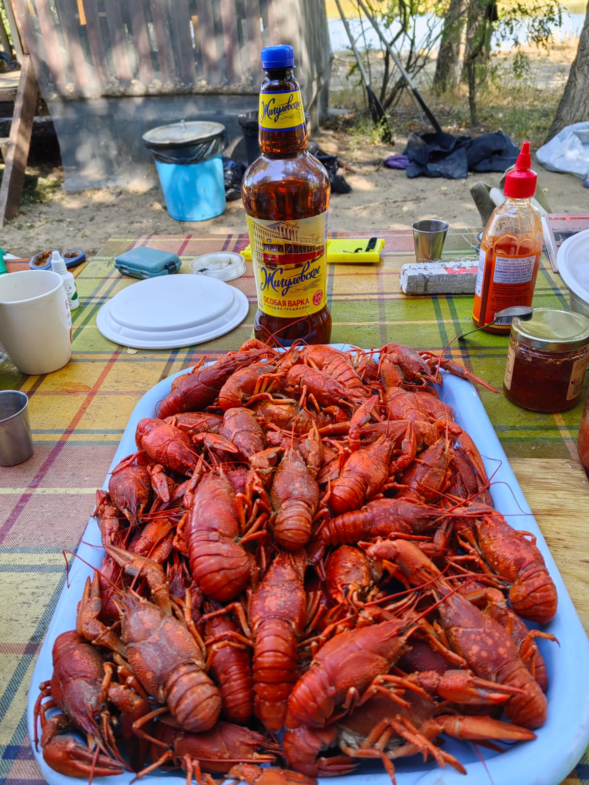 Фото Алимовский плес