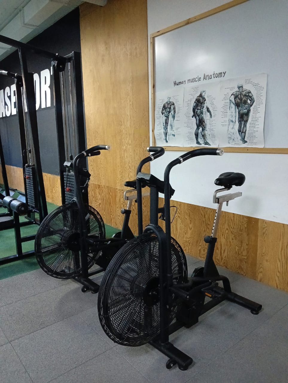 Фото Атаман