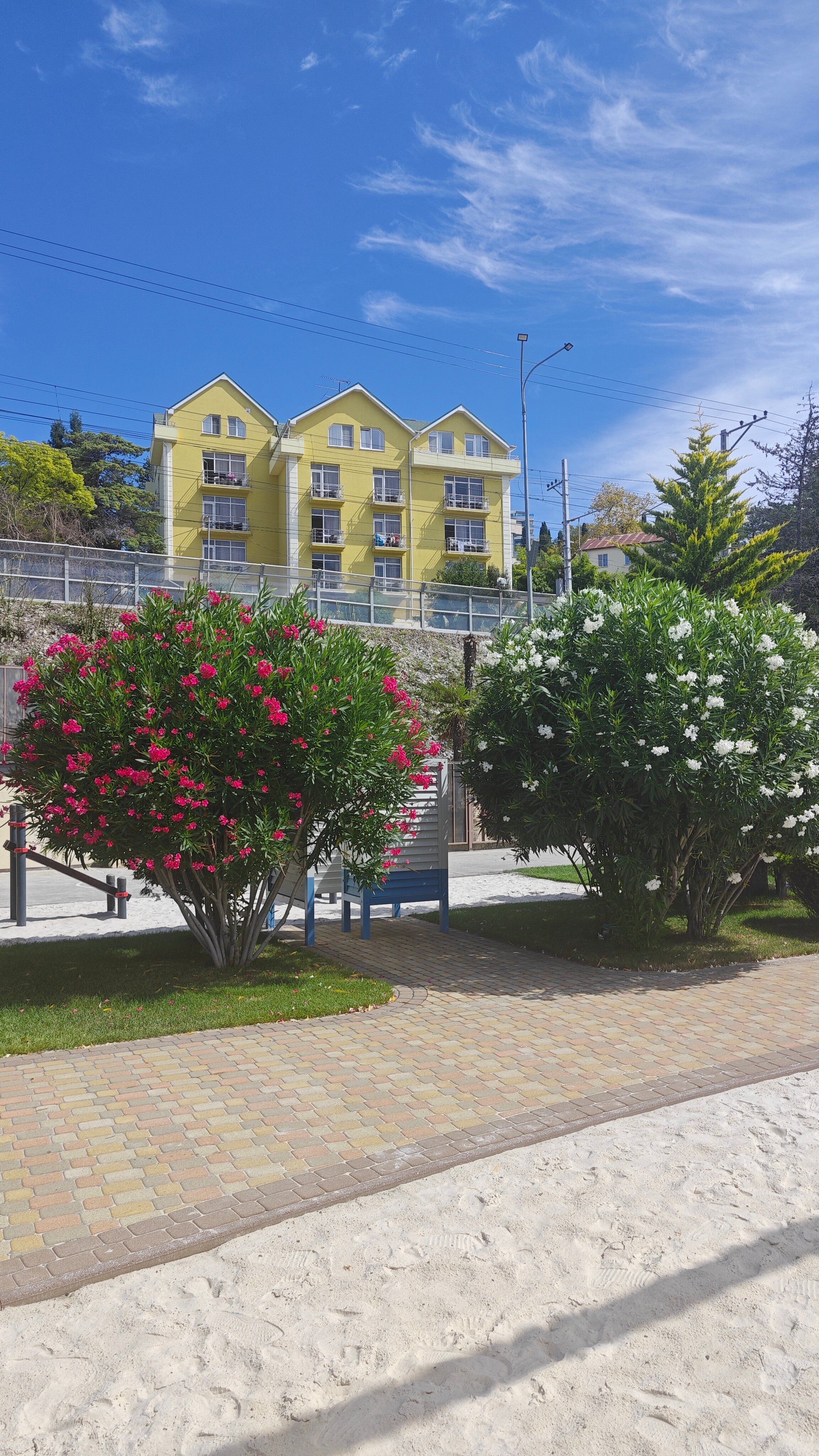 Фото Пеликан