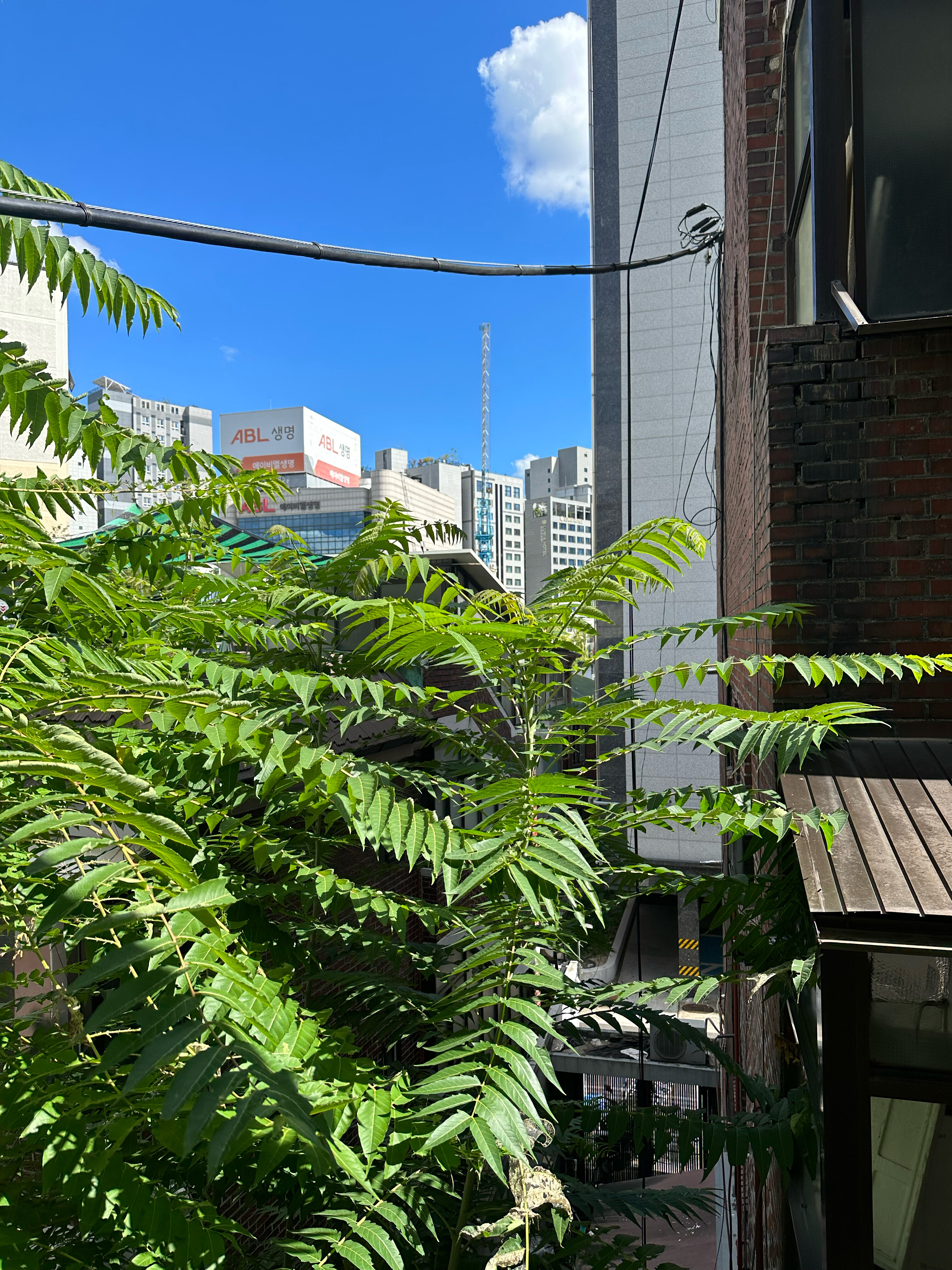 Фото Hostel Korea Original