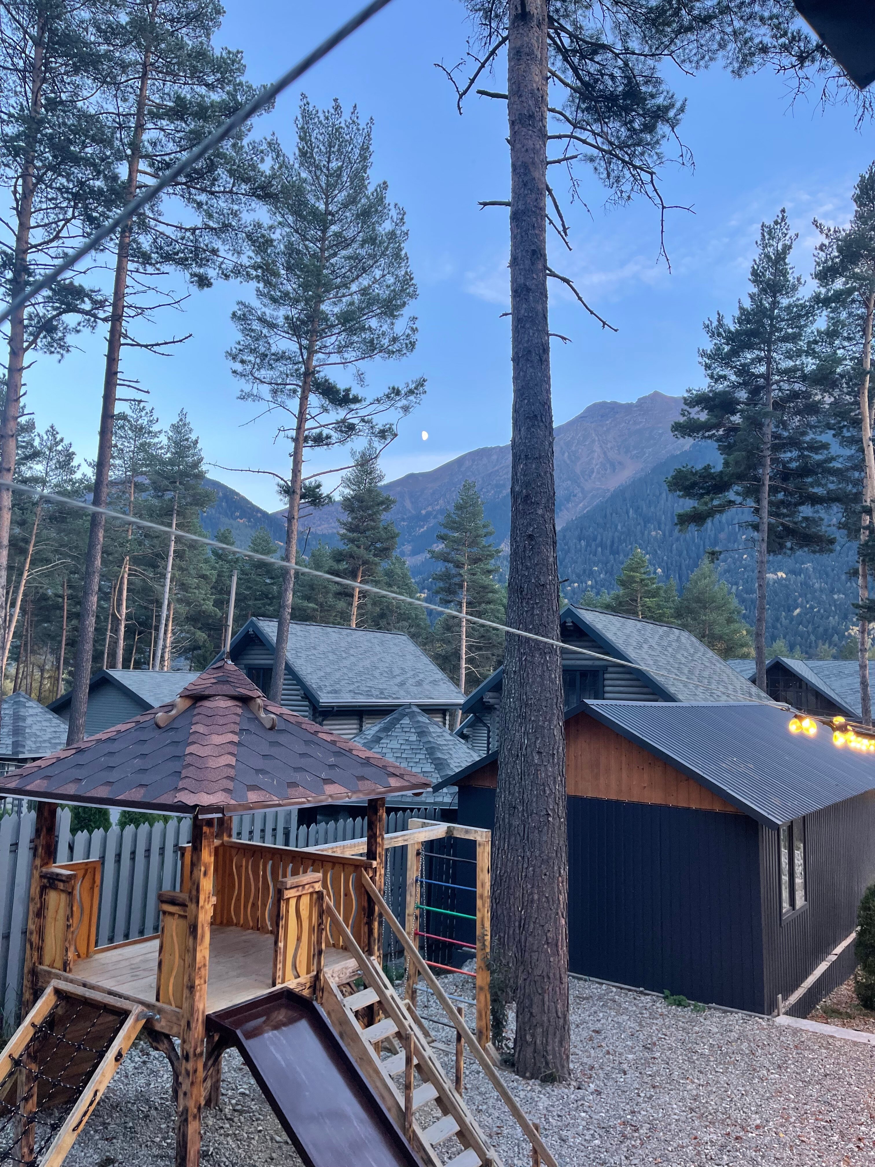 Фото Сосновка