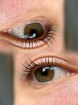 Katyas brows (ulitsa Kaminskogo, 24/24А) ، شريط حاجب العين
