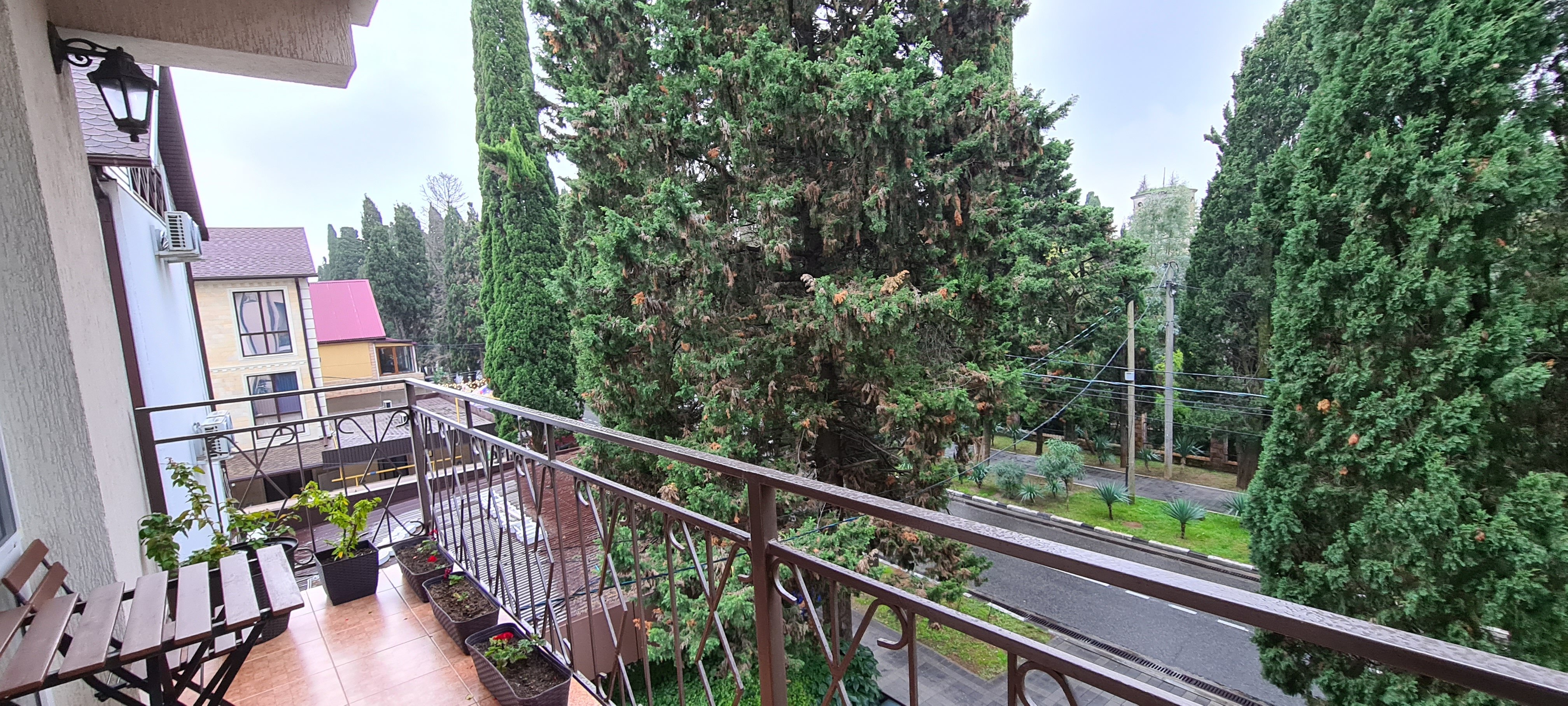 Фото Лаванда