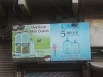 Dayfresh Milk Outlet (Kutchery Road, 102), dairy products shop