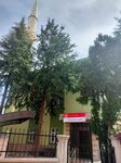Azizzade Mosque (Konya, Selçuklu, Kılınçarslan Mah., Ilknur Sok., 15A), mosque