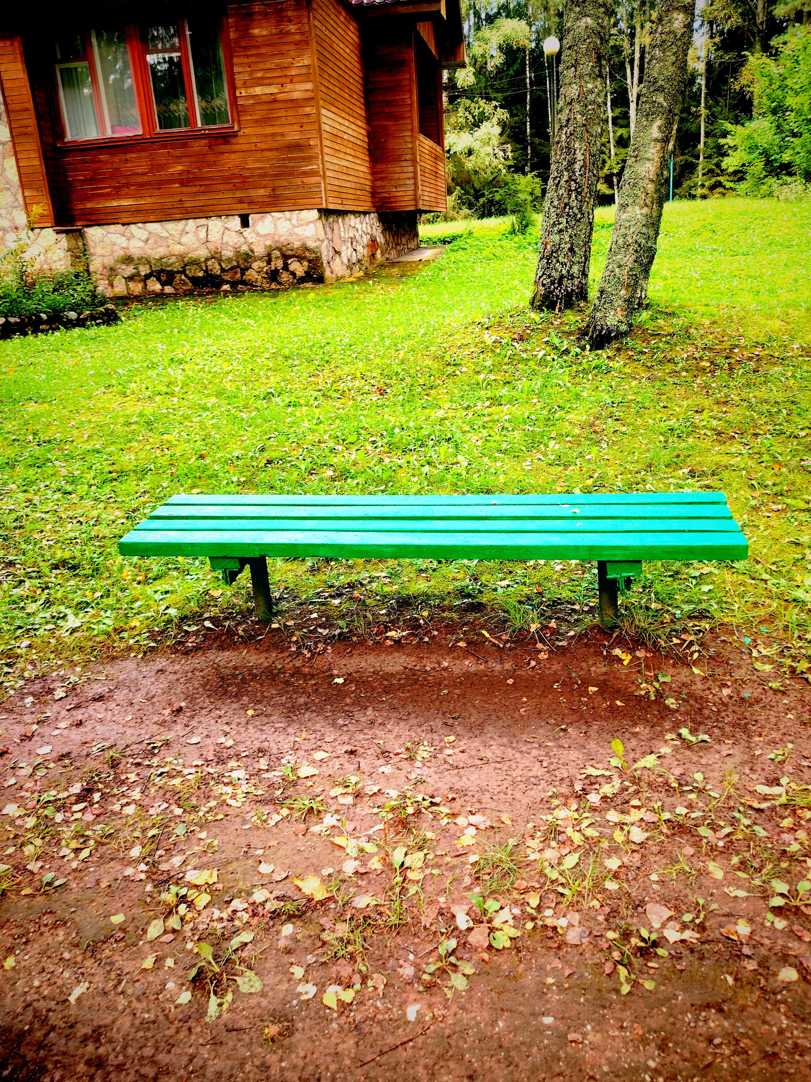 Фото Пушкиногорье