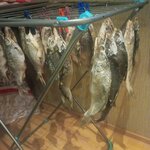 Рыба (Maksima Gorkogo Street, 5) ، الأسماك والمأكولات البحرية