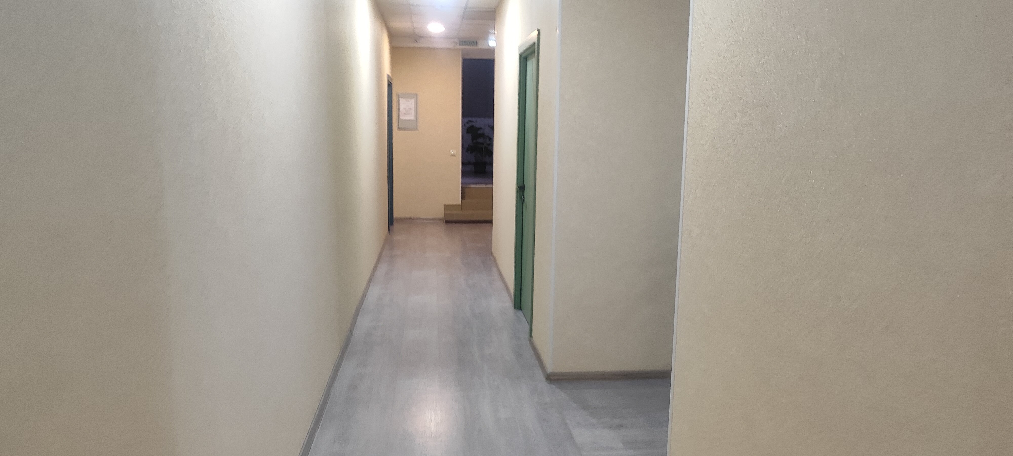 Фото Колибри