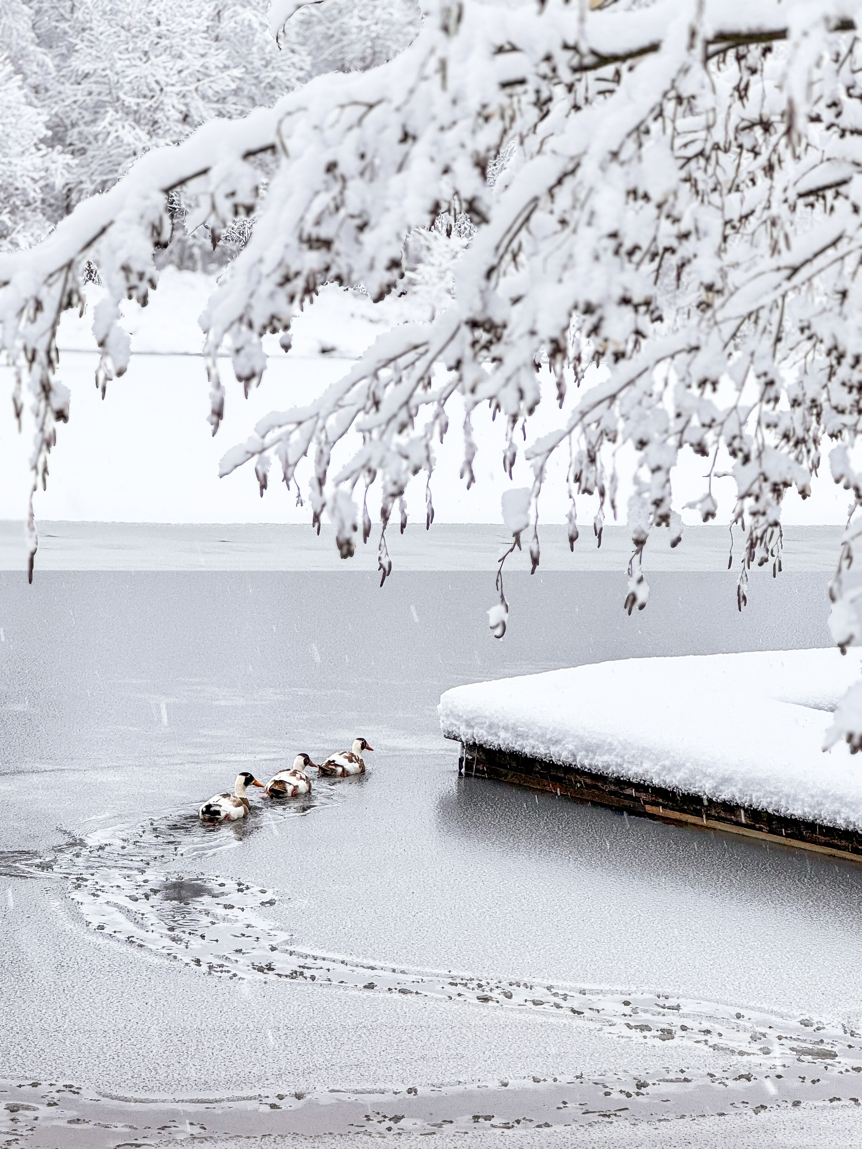 Фото А у реки