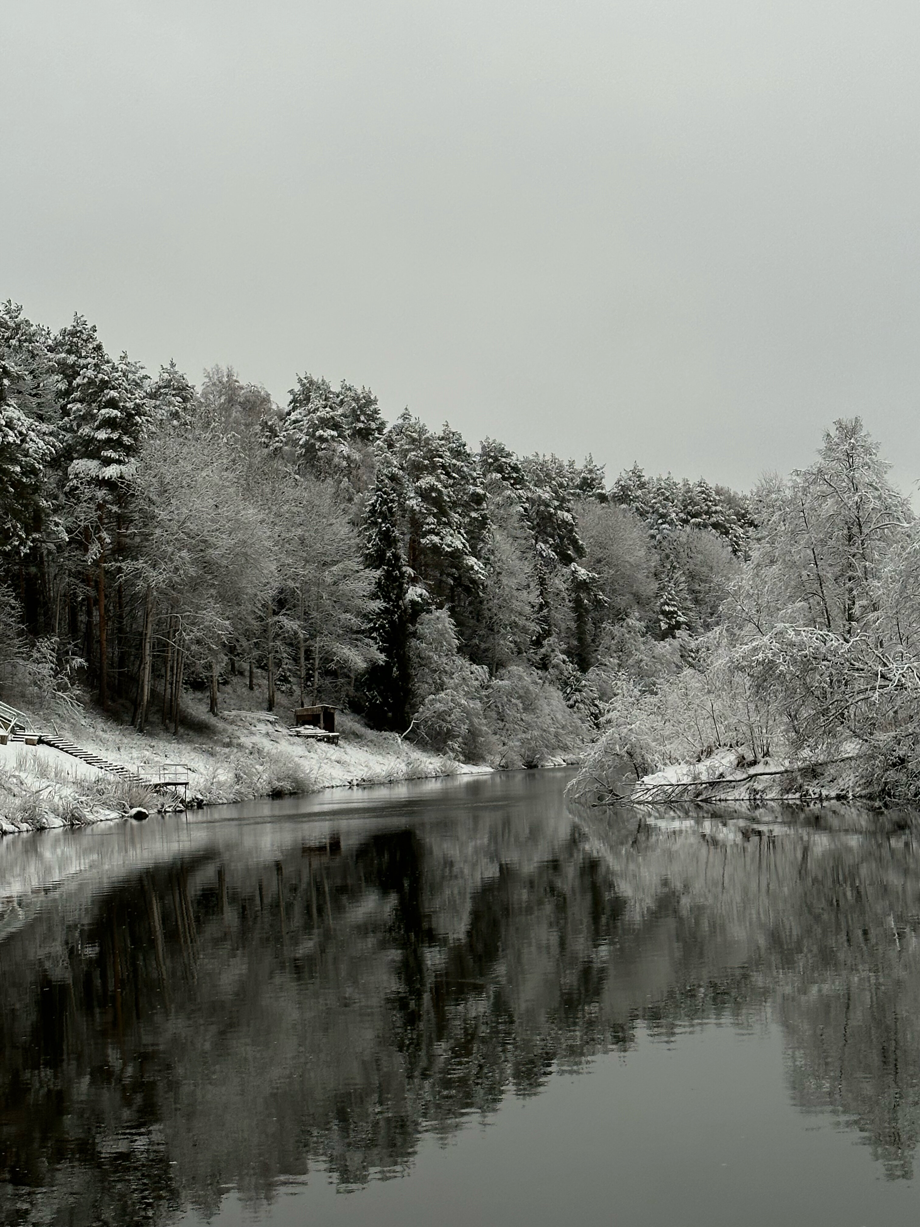 Фото Сибирянка