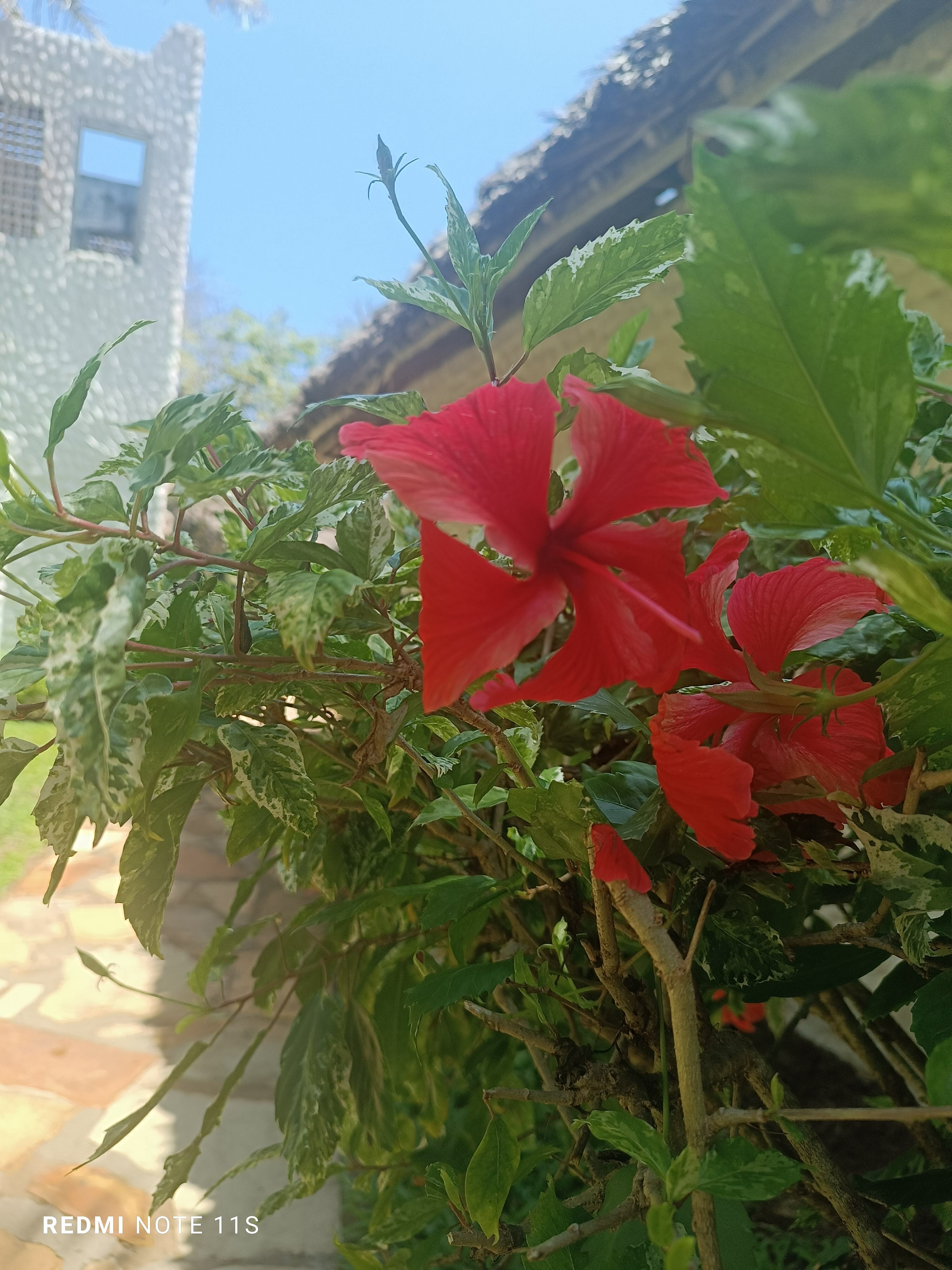Фото Jacaranda Indian Ocean Beach Resort