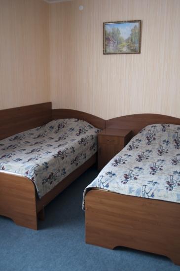 Фото Спутник