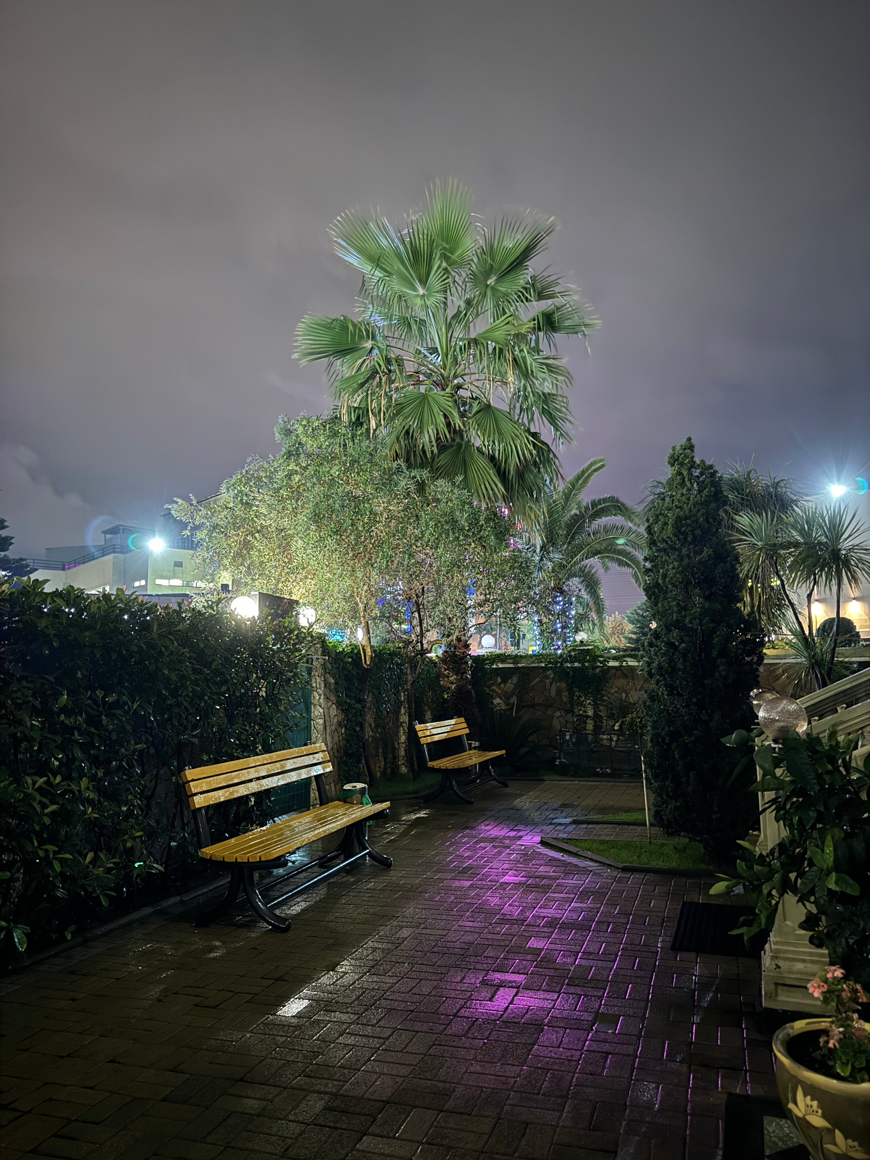 Фото Парадиз