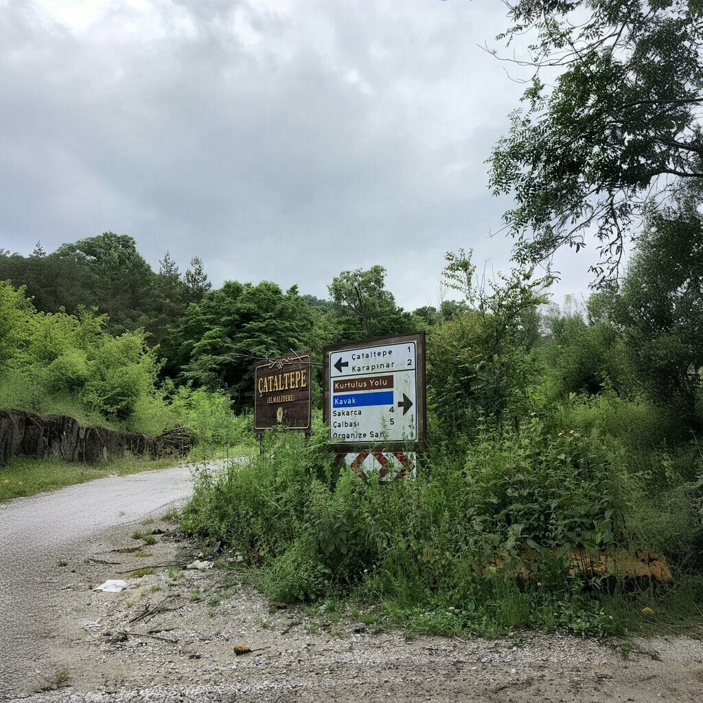 Mosque Kasimzade Ahmet Sofi Mosque, Kavak, photo