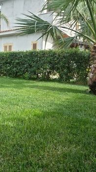 Фото La Fattoria sul Mare