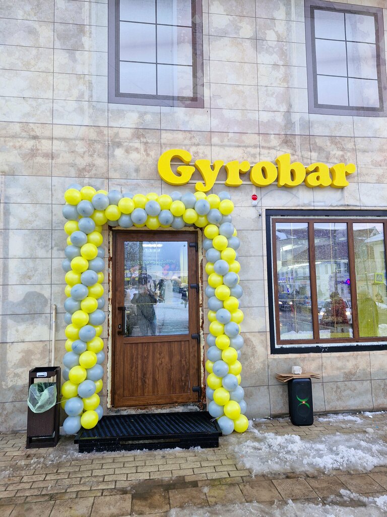 Быстрое питание Гиробар, Данилов, фото