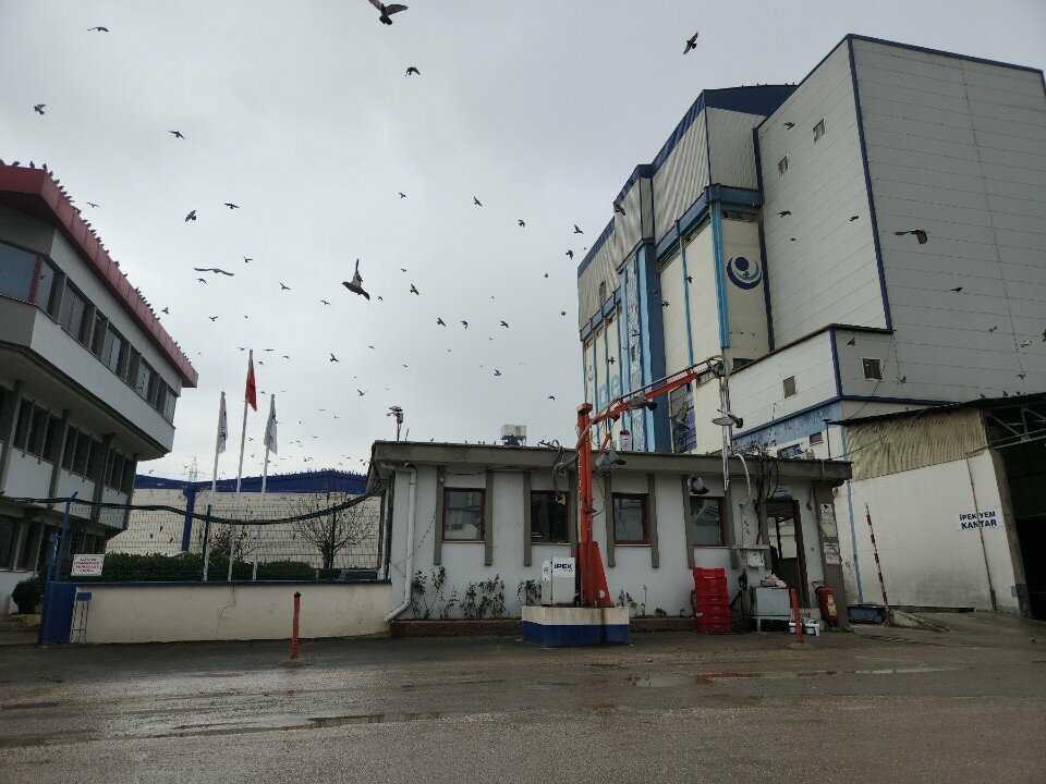 Fodder and feed additives Ipek Feed, Gaziantep, photo