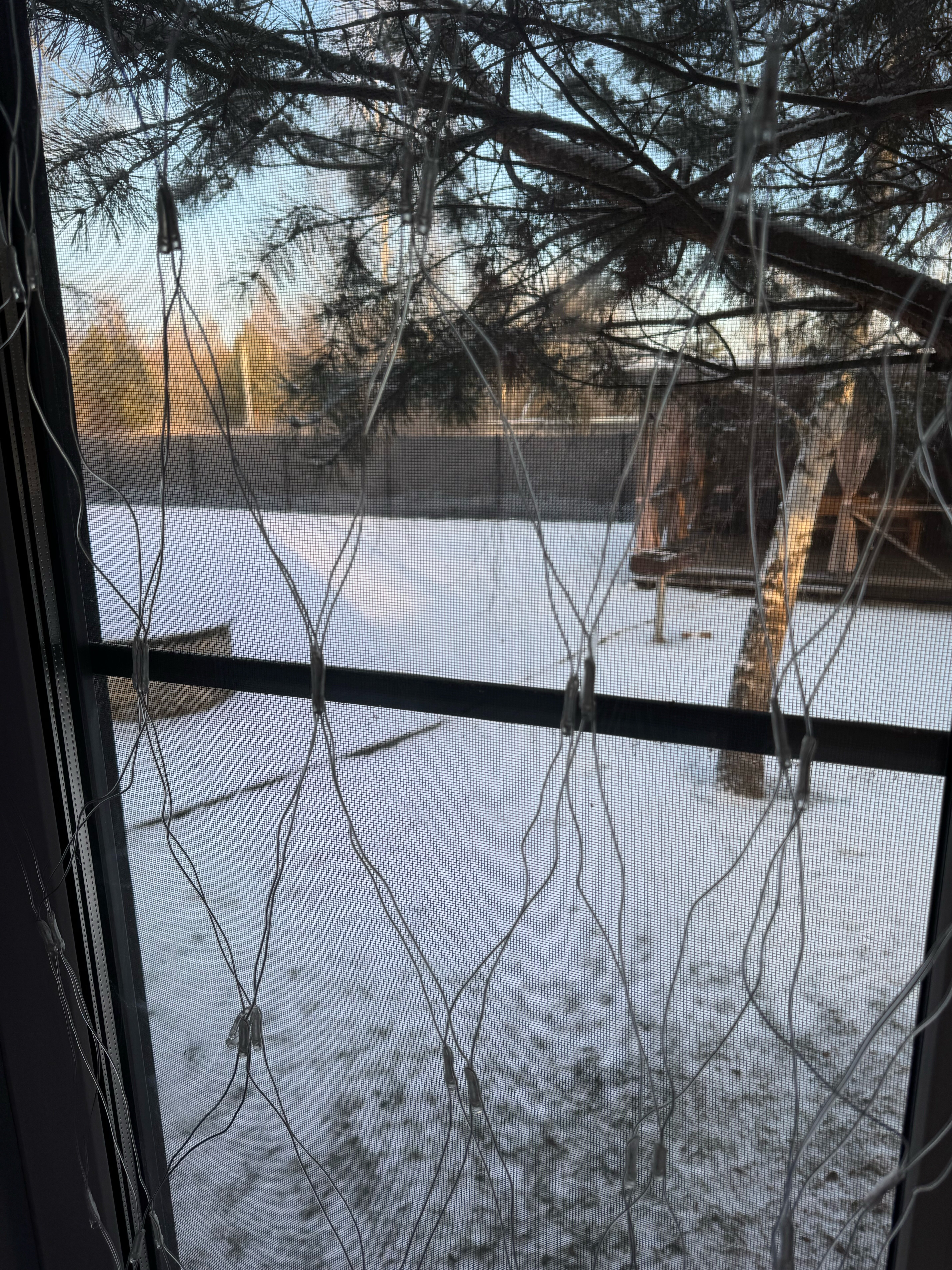 Фото Сканди куб