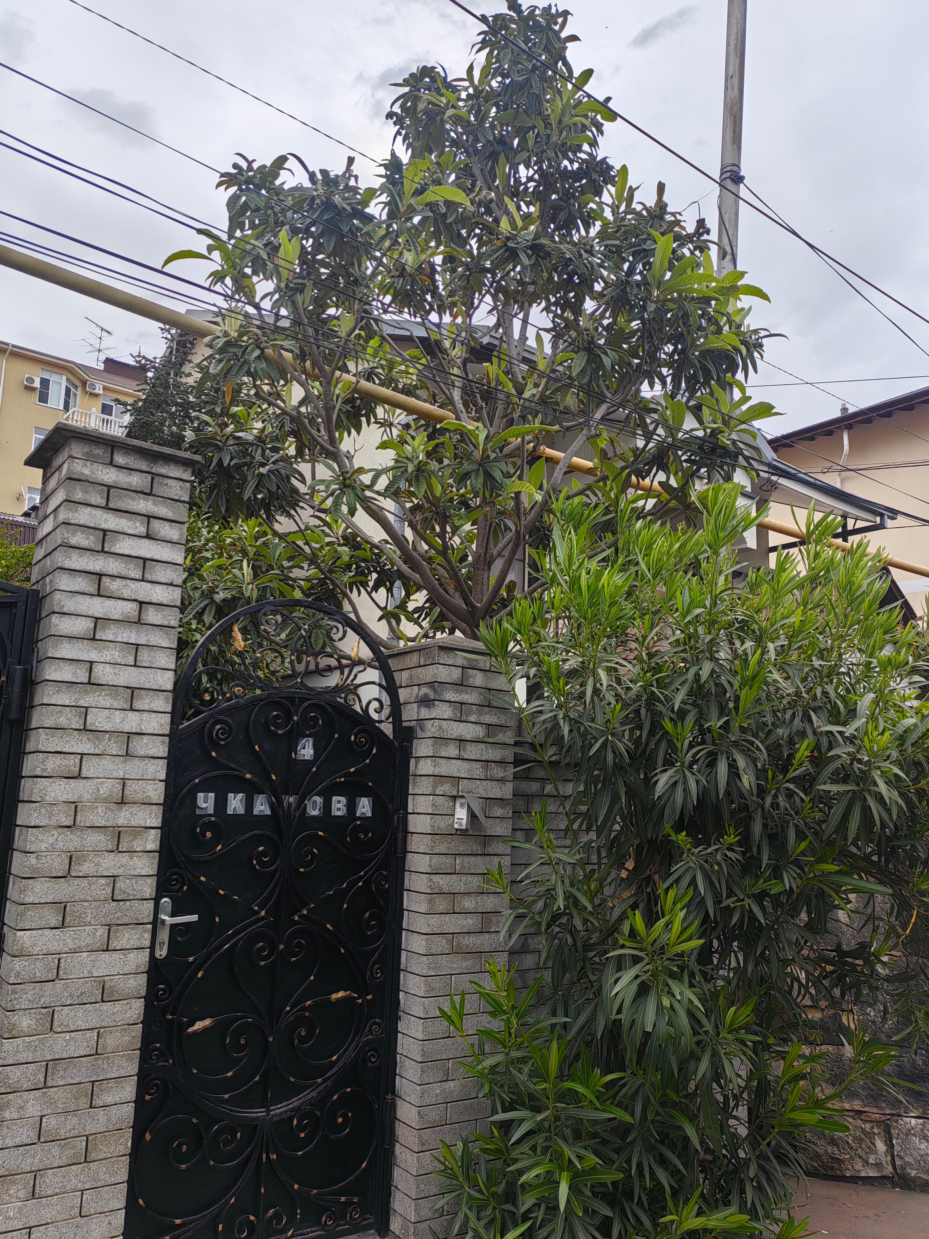 Фото У Лукоморья как в сказке