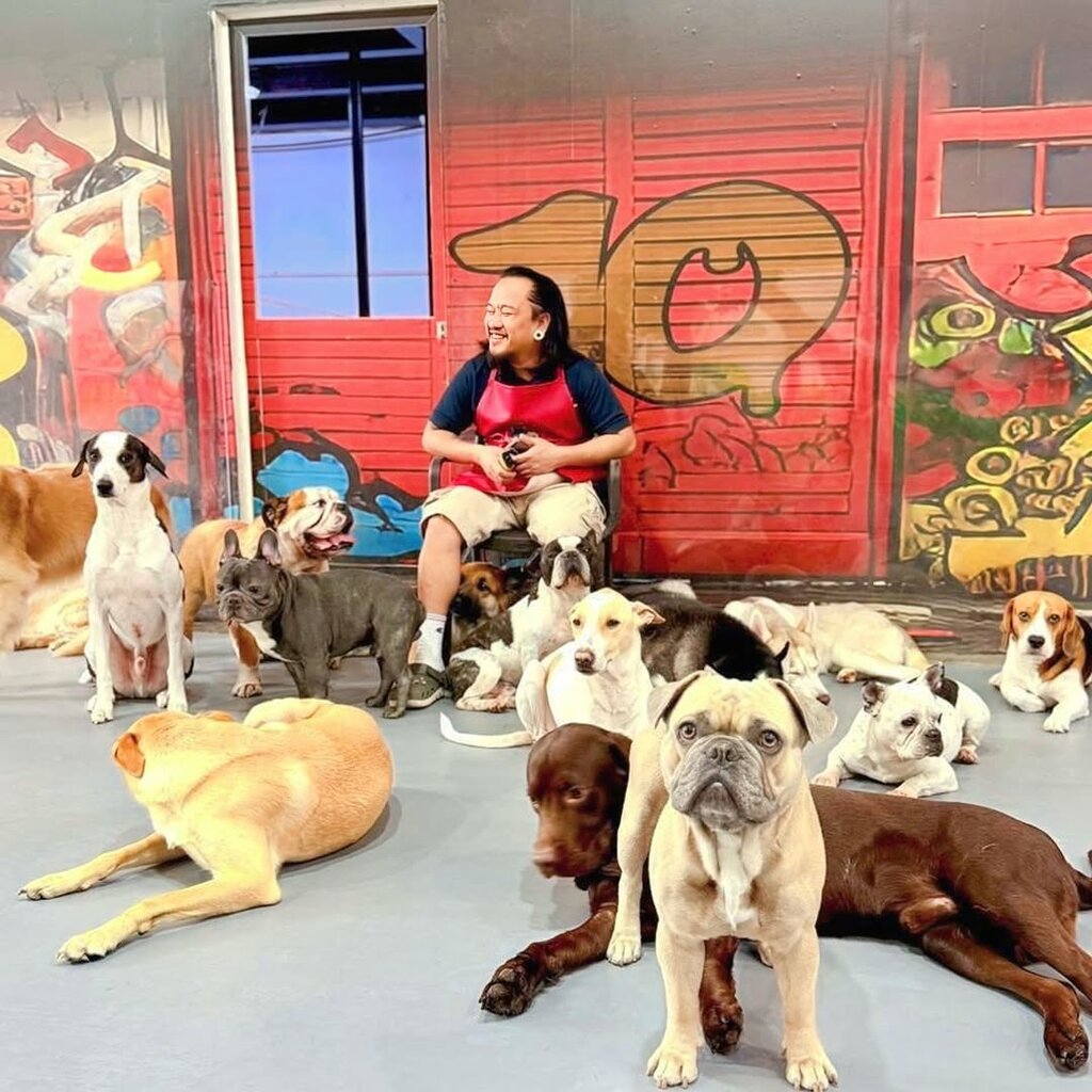 Animal shelter Bruno's Play Center, Dubai, photo
