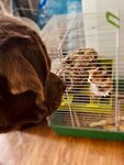 Ветеринар (ulitsa Petra Naboychenko, 13), veterinary clinic