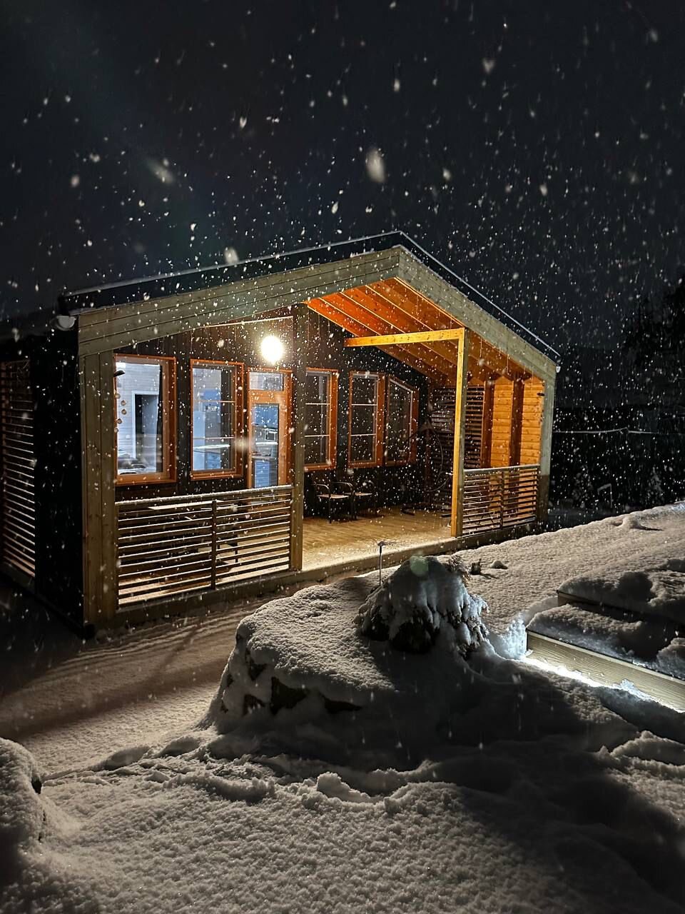 Фото Смородина