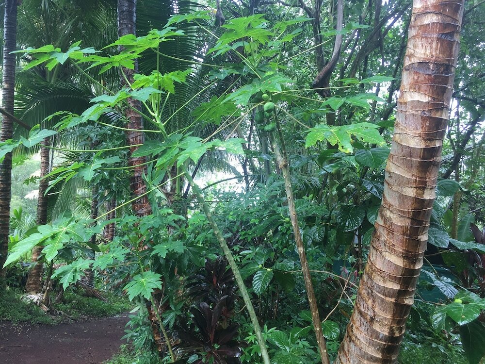 Фото Cinderland EcoVillage - Hostel