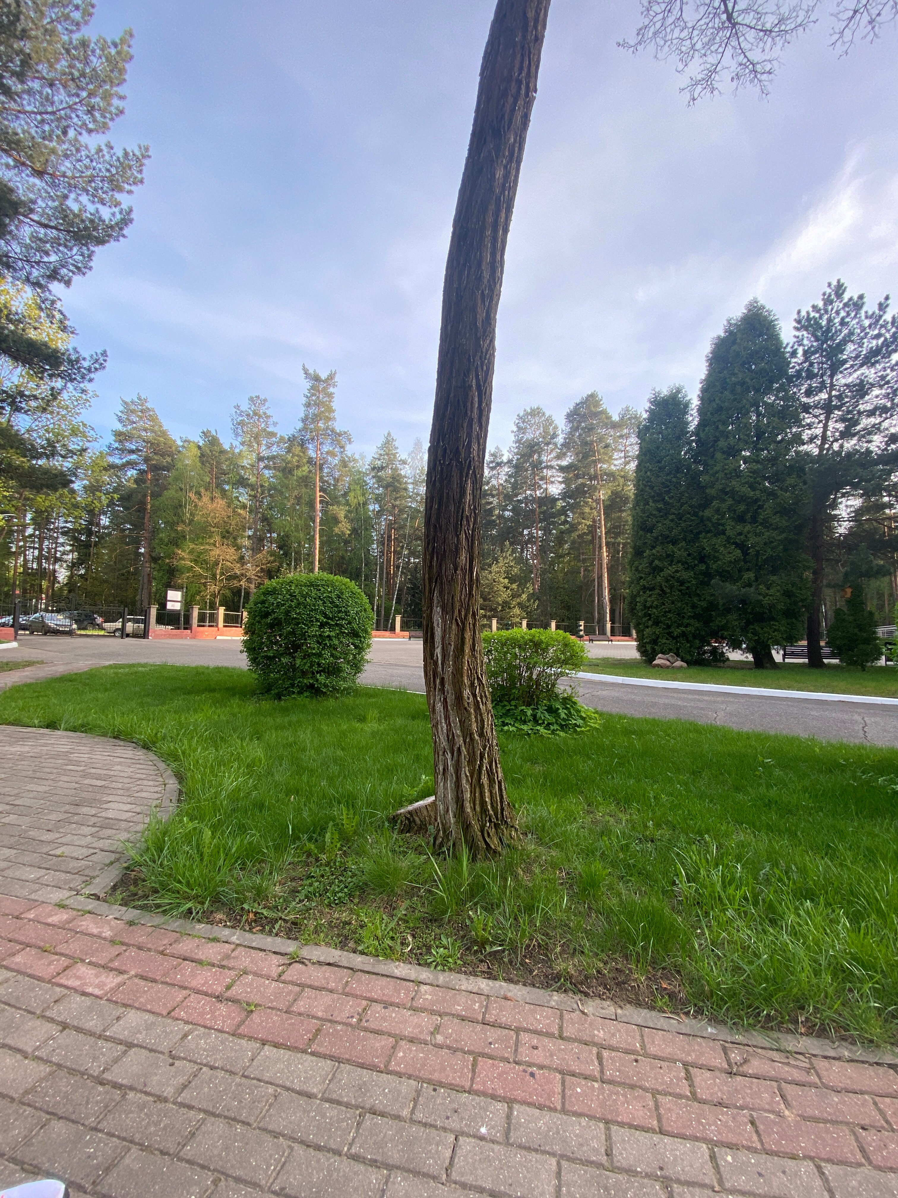 Фото Нафтан