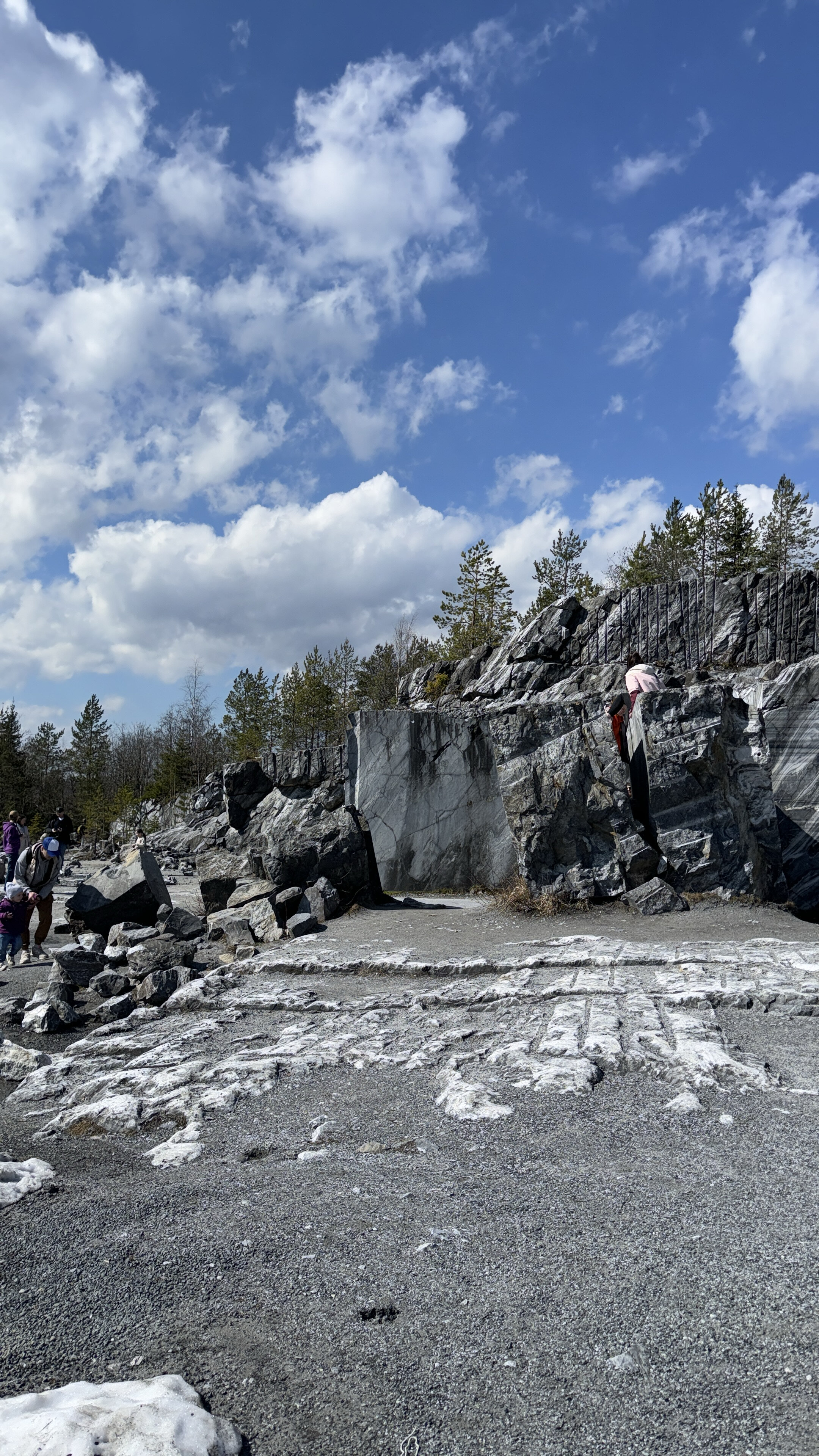 Фото Villi Honka