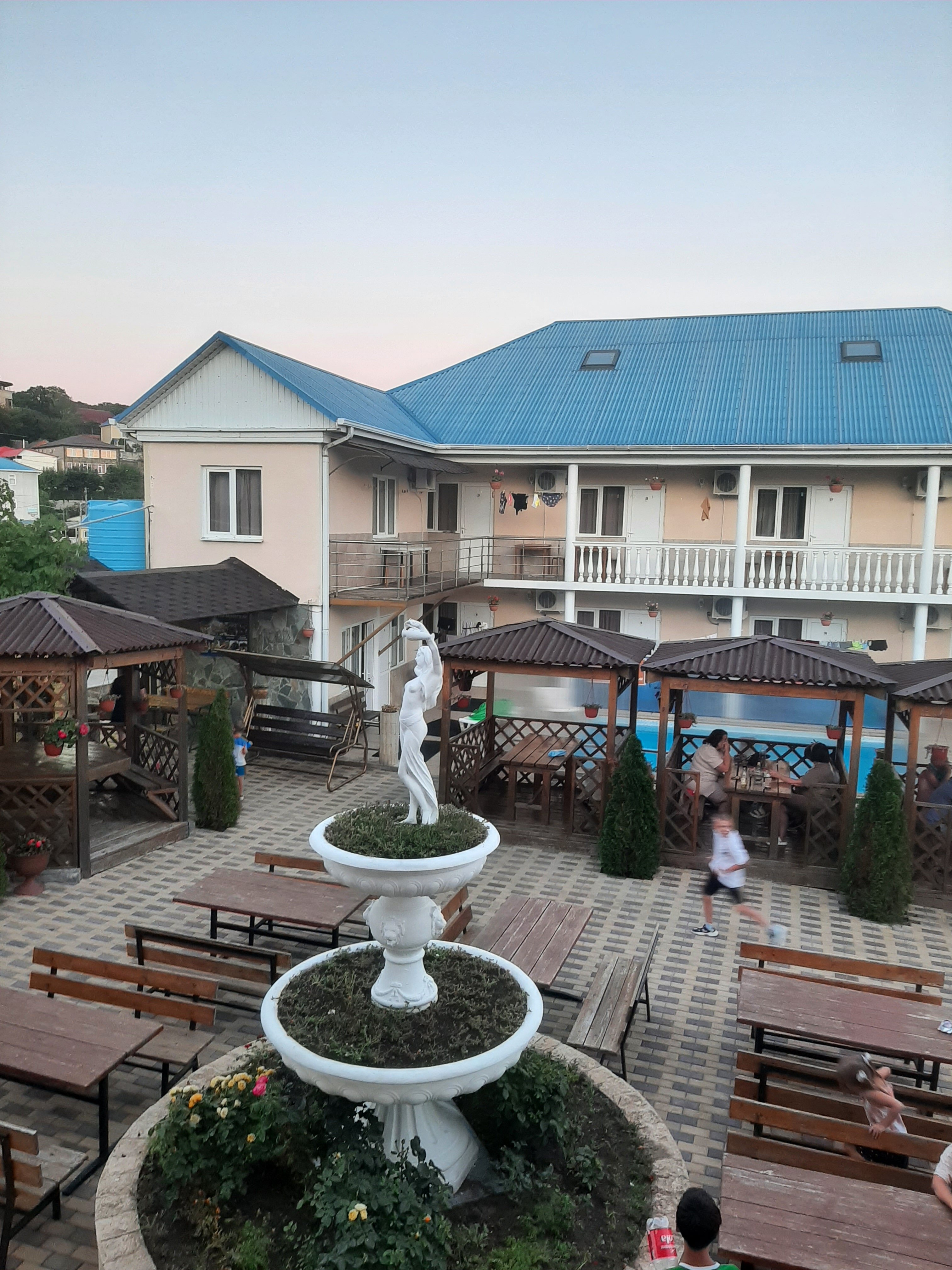 Фото Дельфин