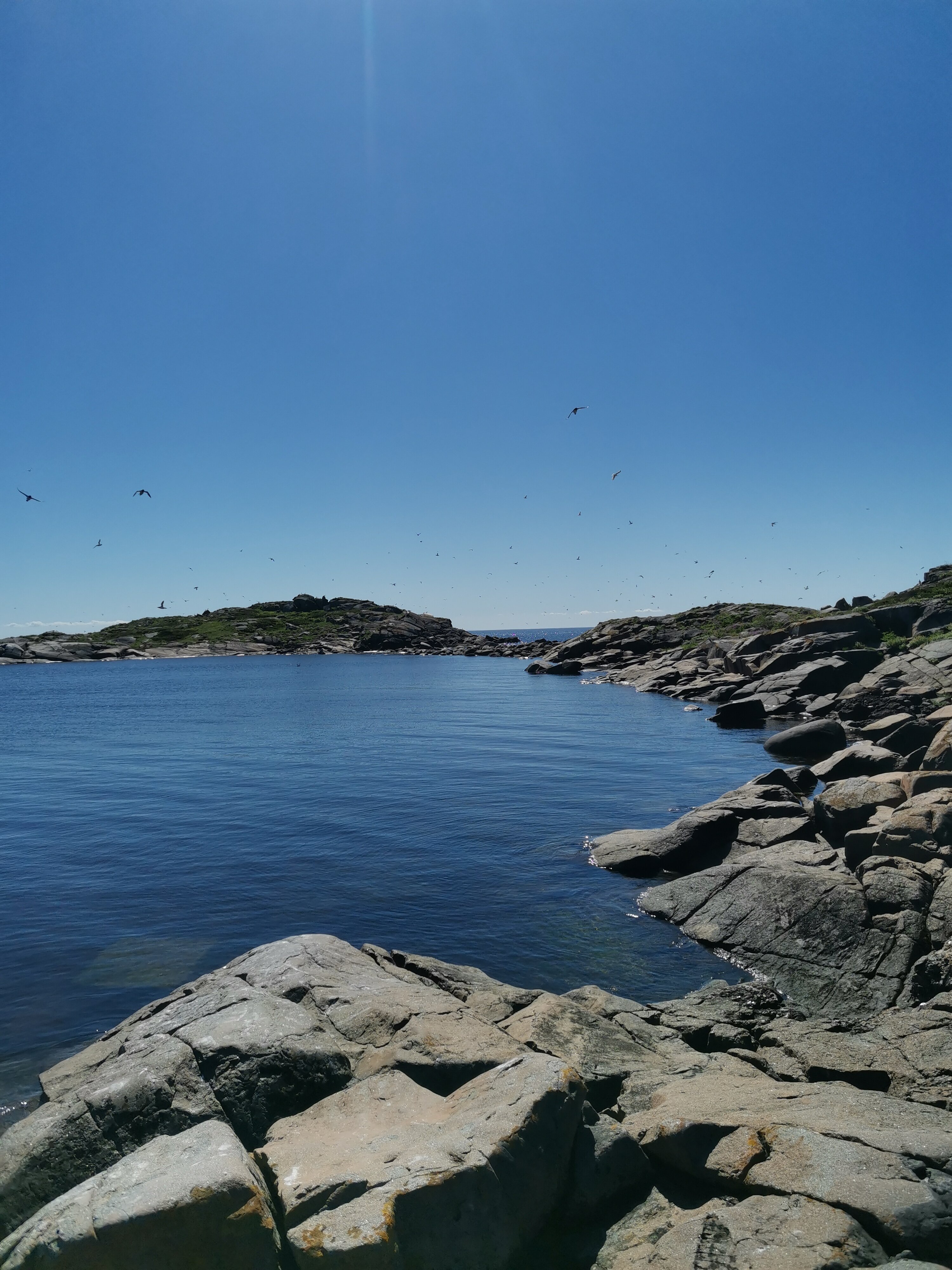 Фото Онежская гора