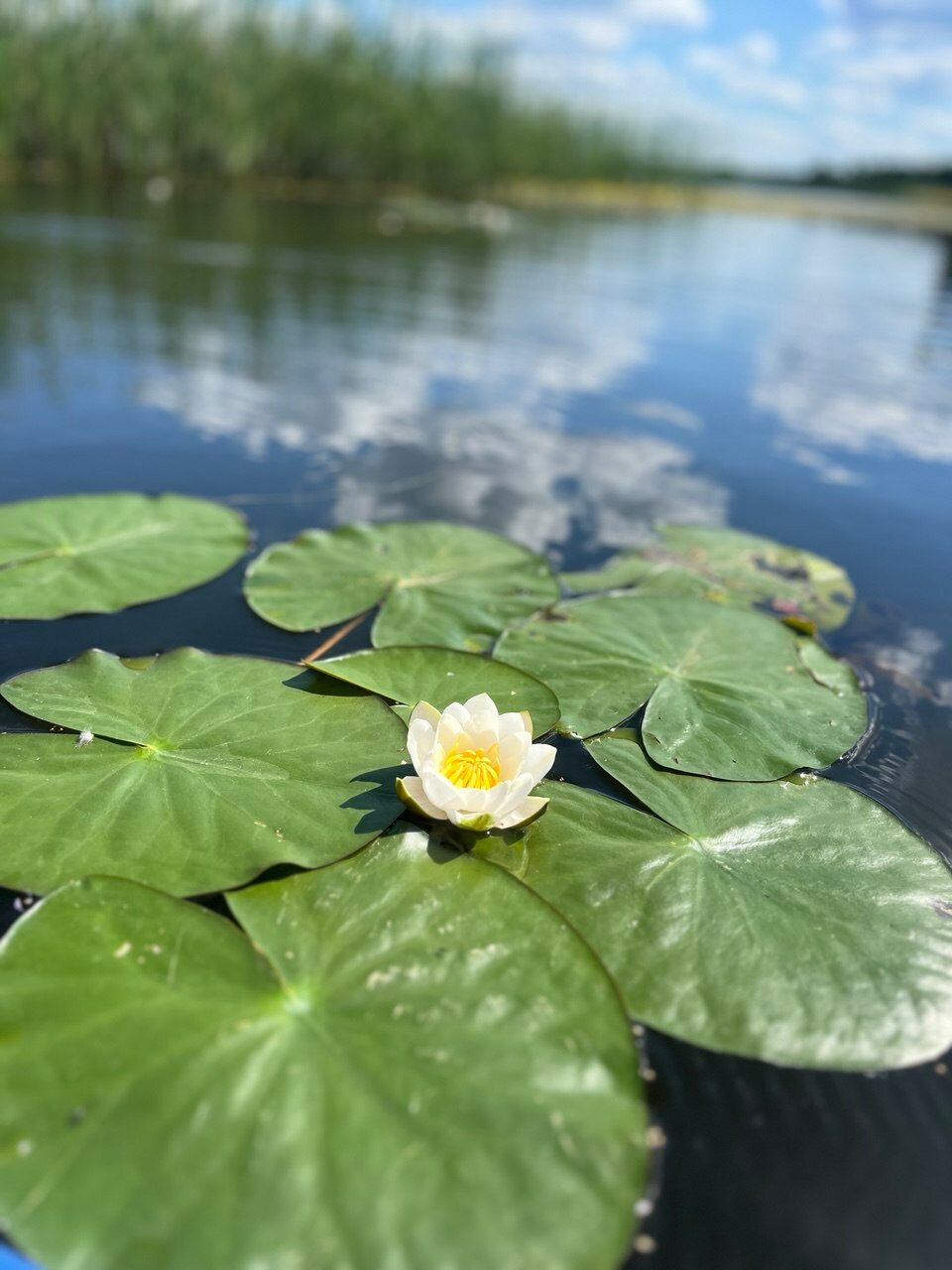 Фото Хуторок