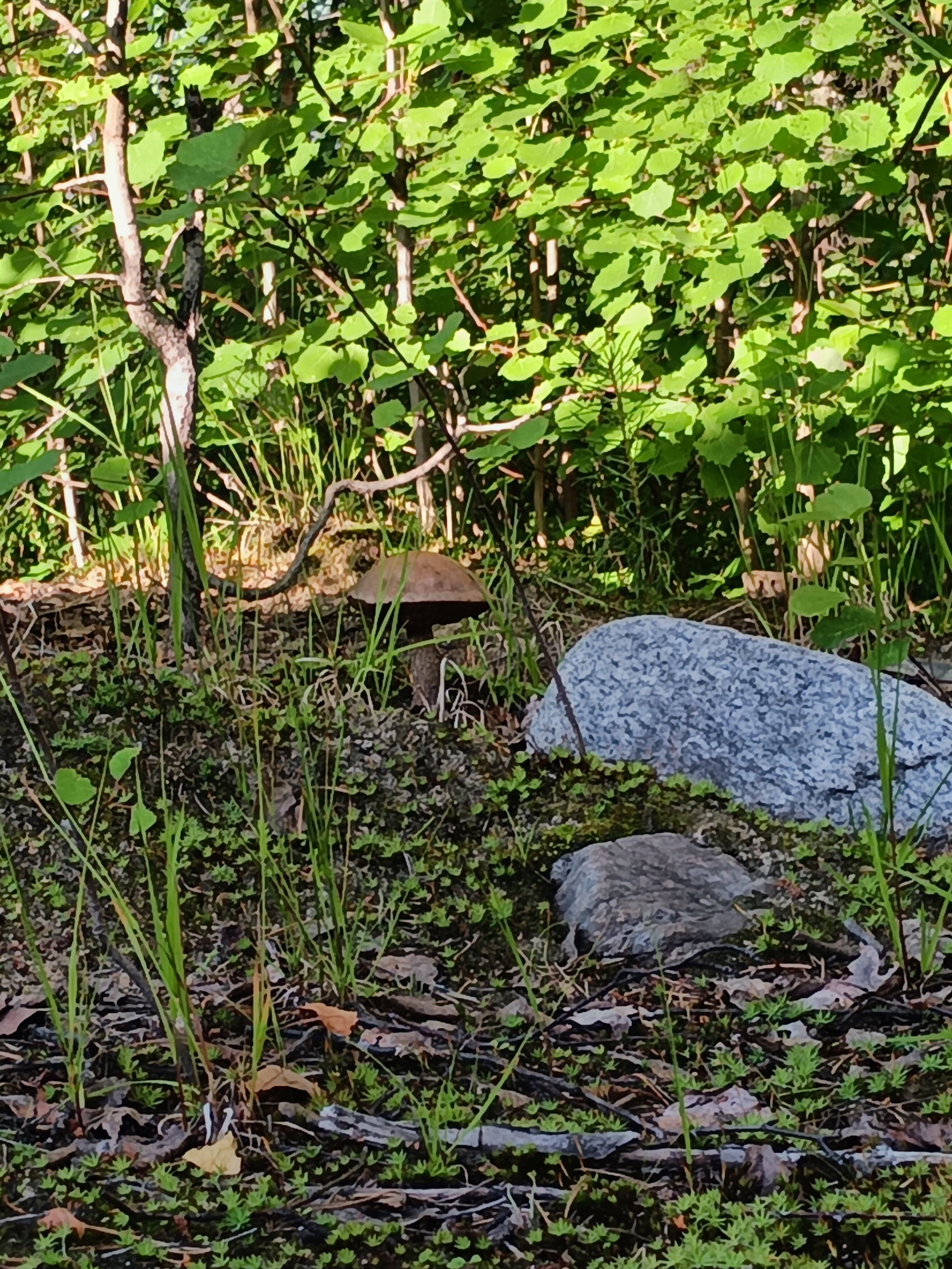 Фото Гостиница Подкова