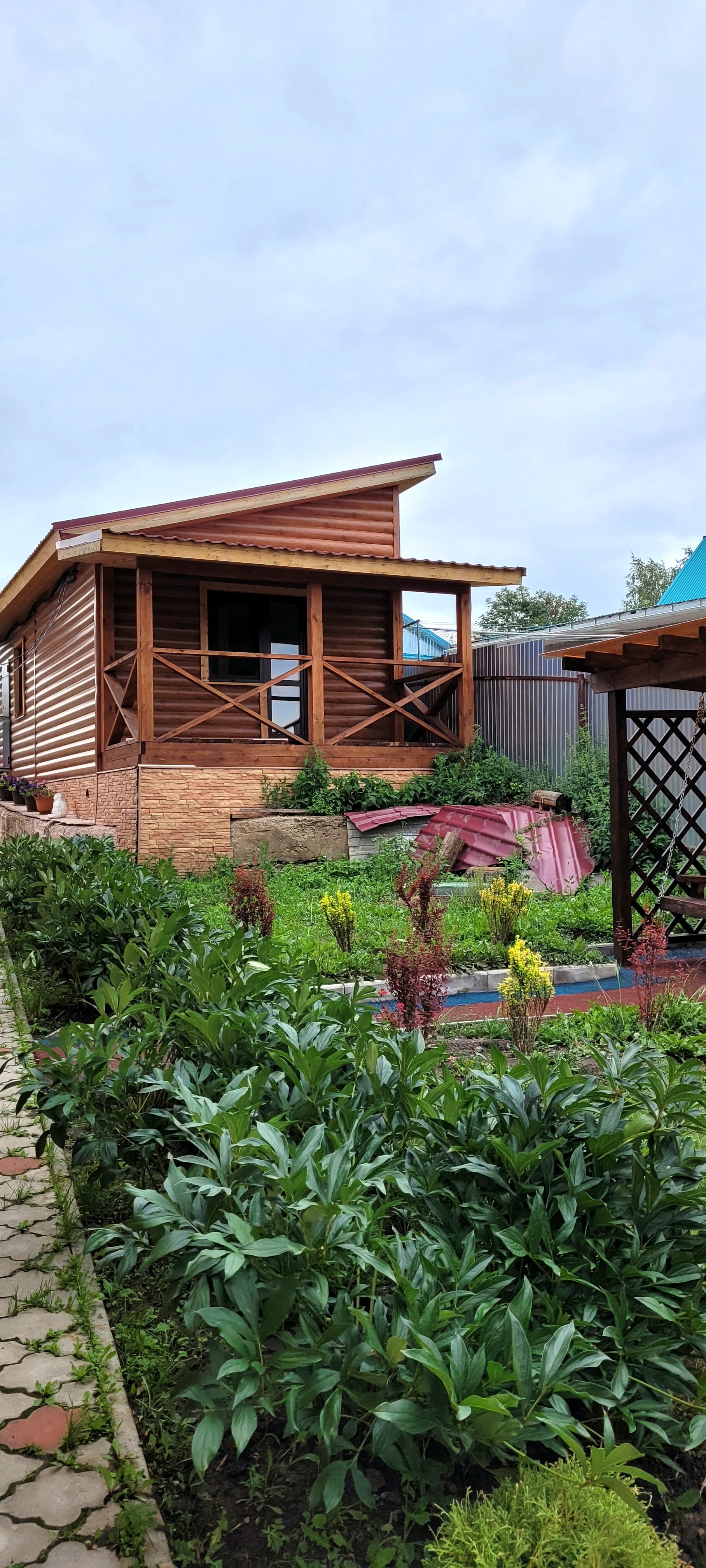 Фото Аура Света