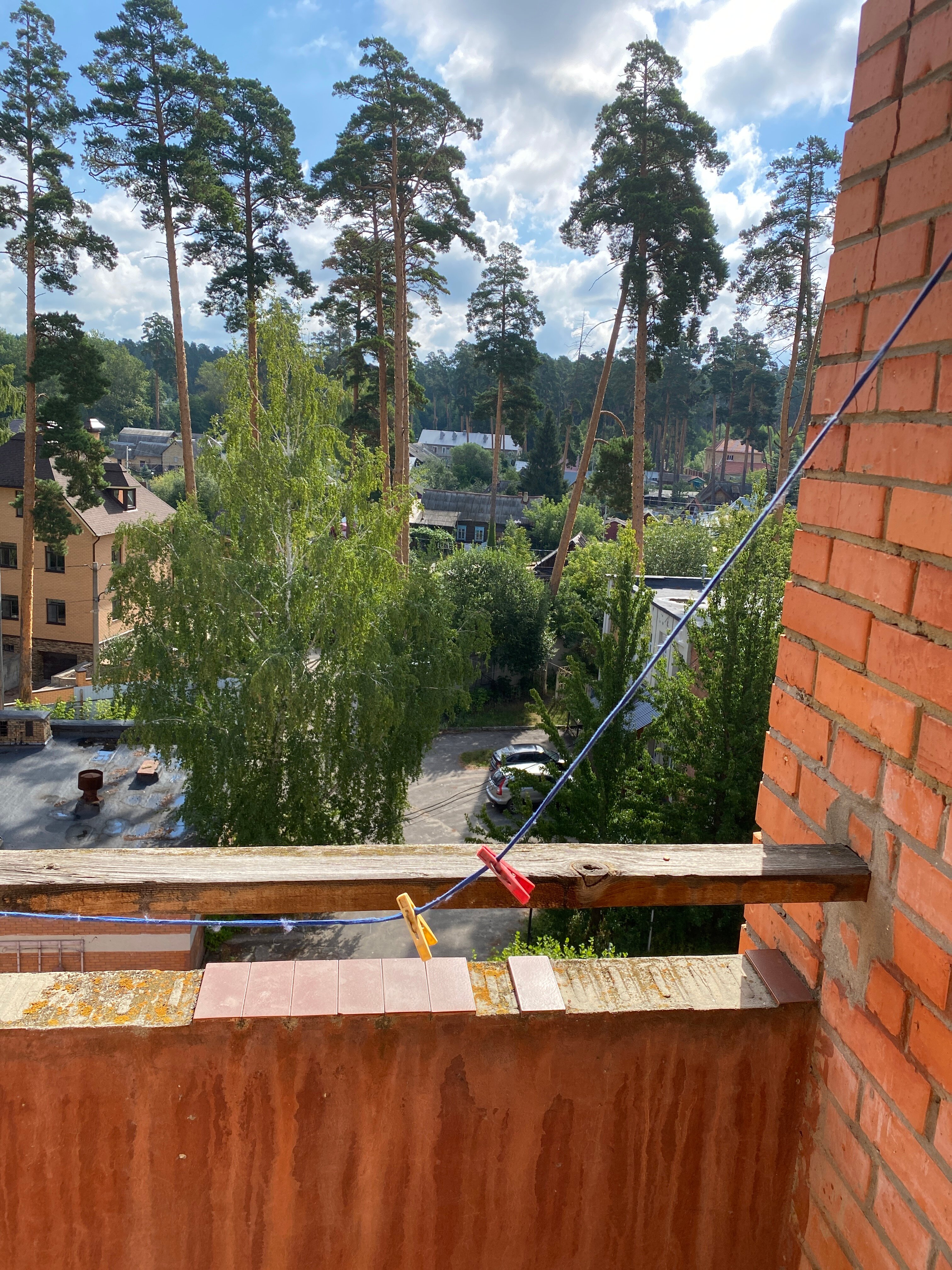 Фото Серебряный бор