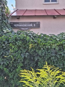 Тульские каникулы