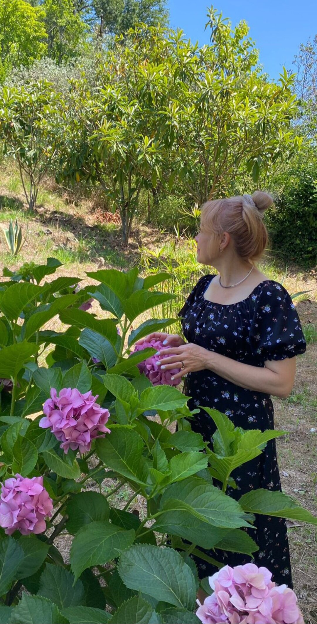 Фото Горное Ущелье