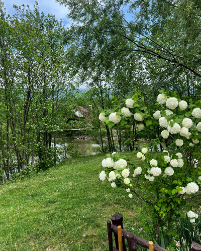 New Васюки  фото 7