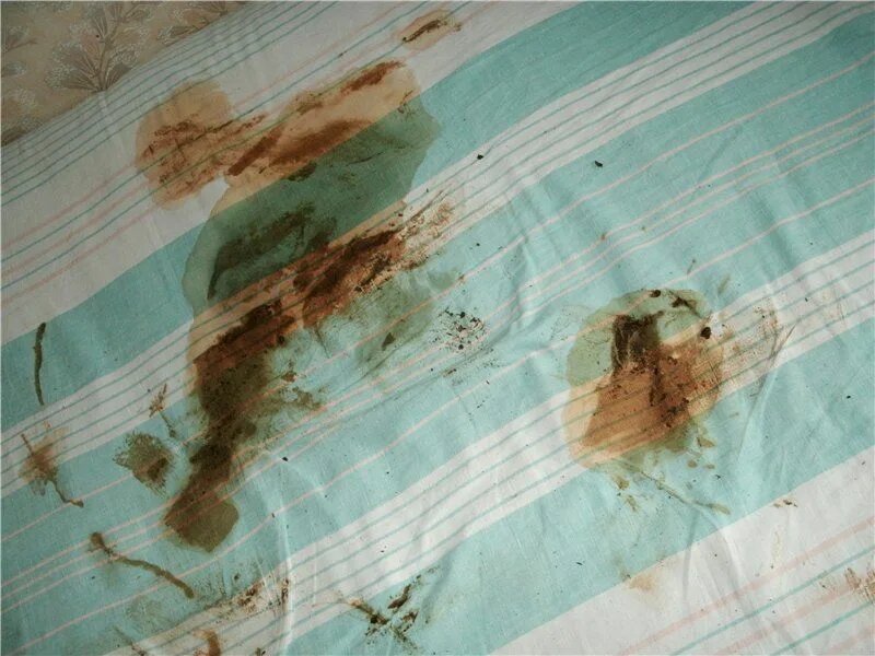 Фото Пирани