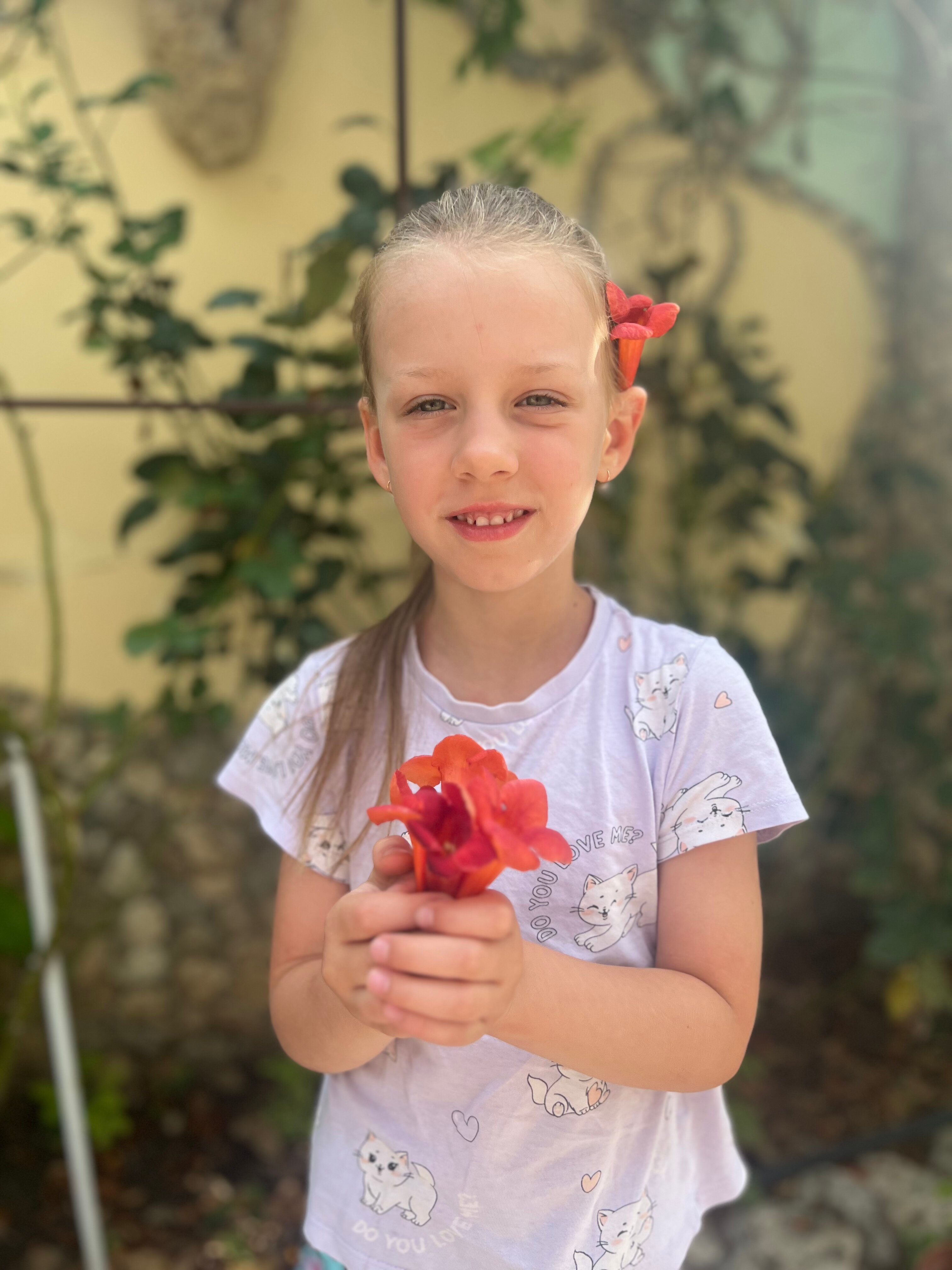 Фото Роза ветров