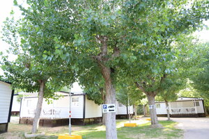 Гостиница Bungalows Camping Regio