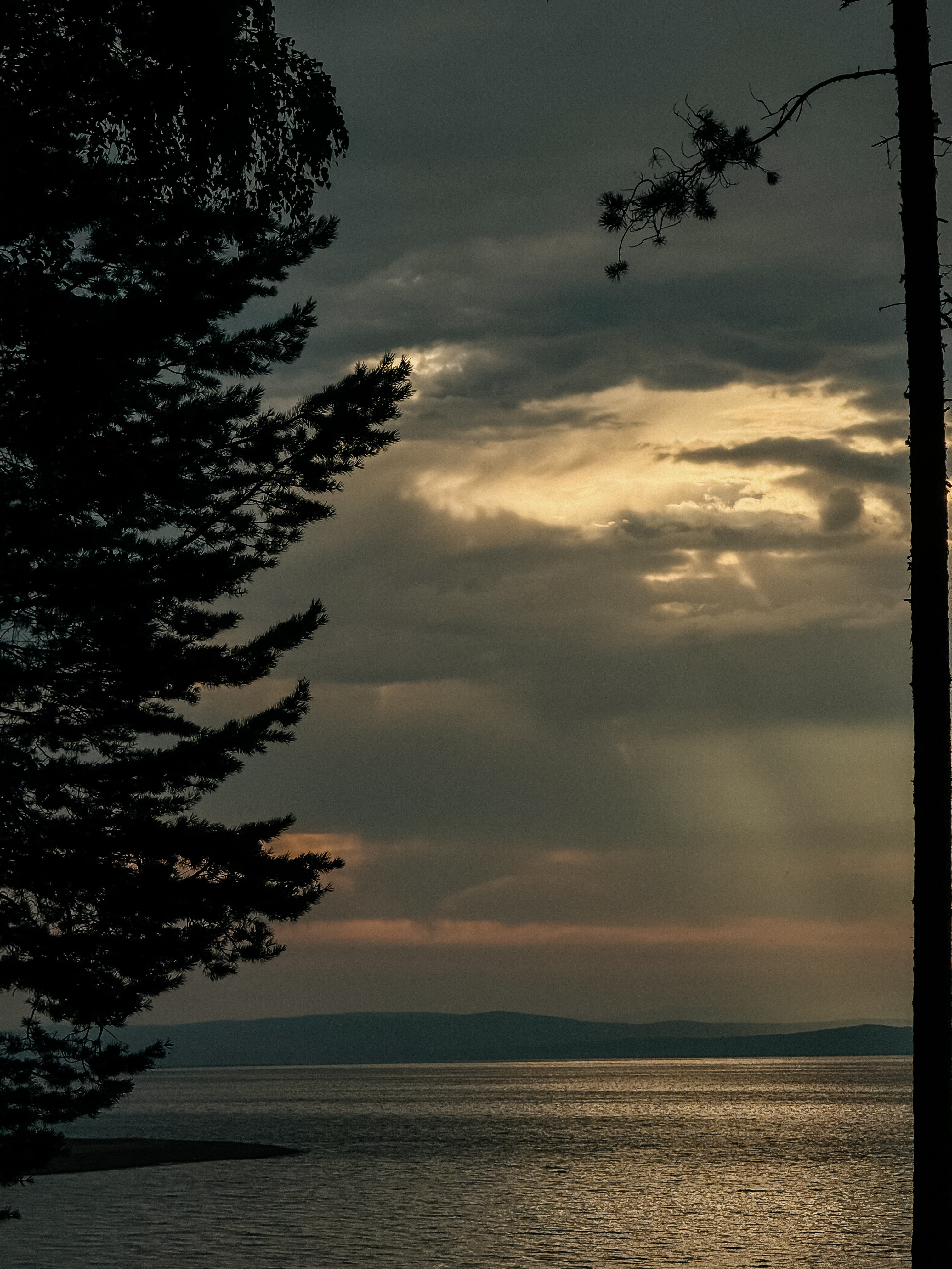 Фото Место под солнцем