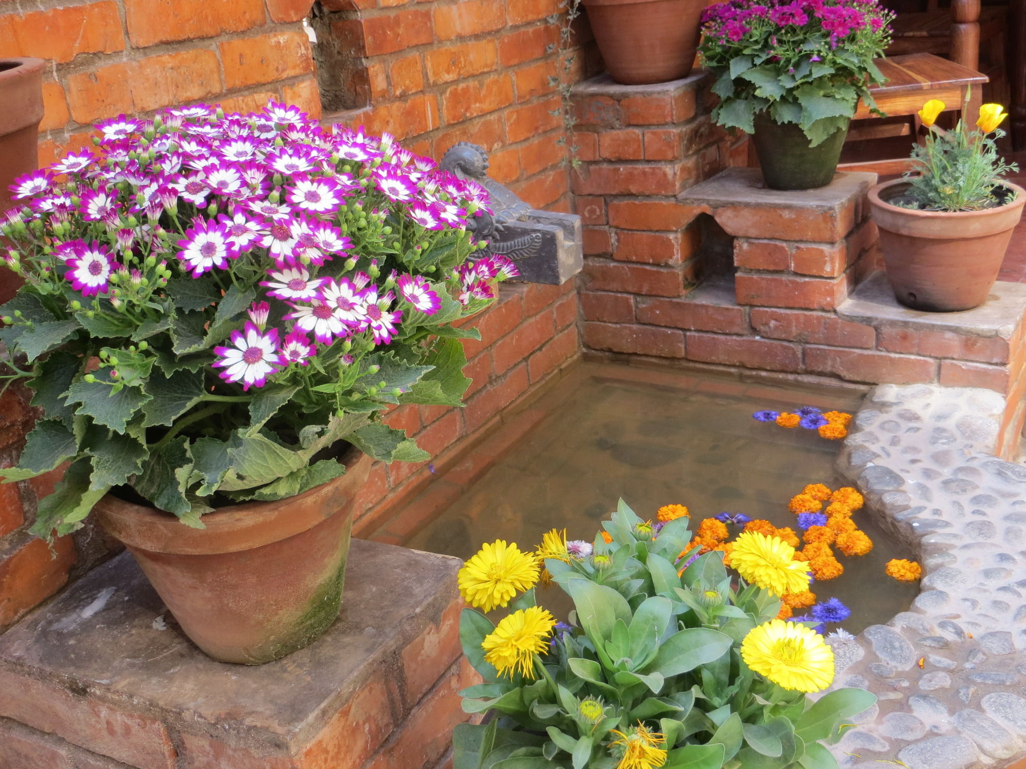 Фото 72732263988